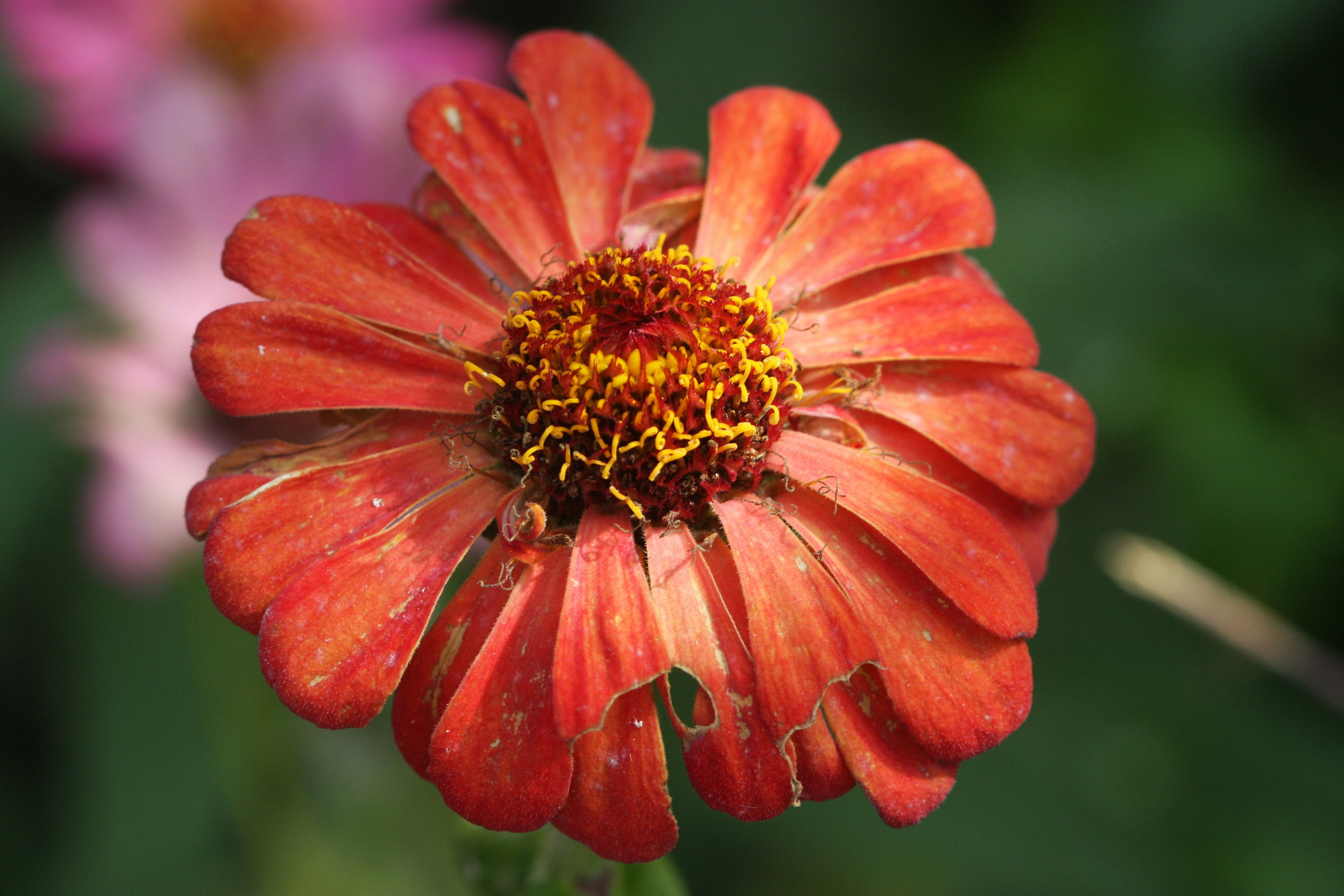 Photo by suyashbatra