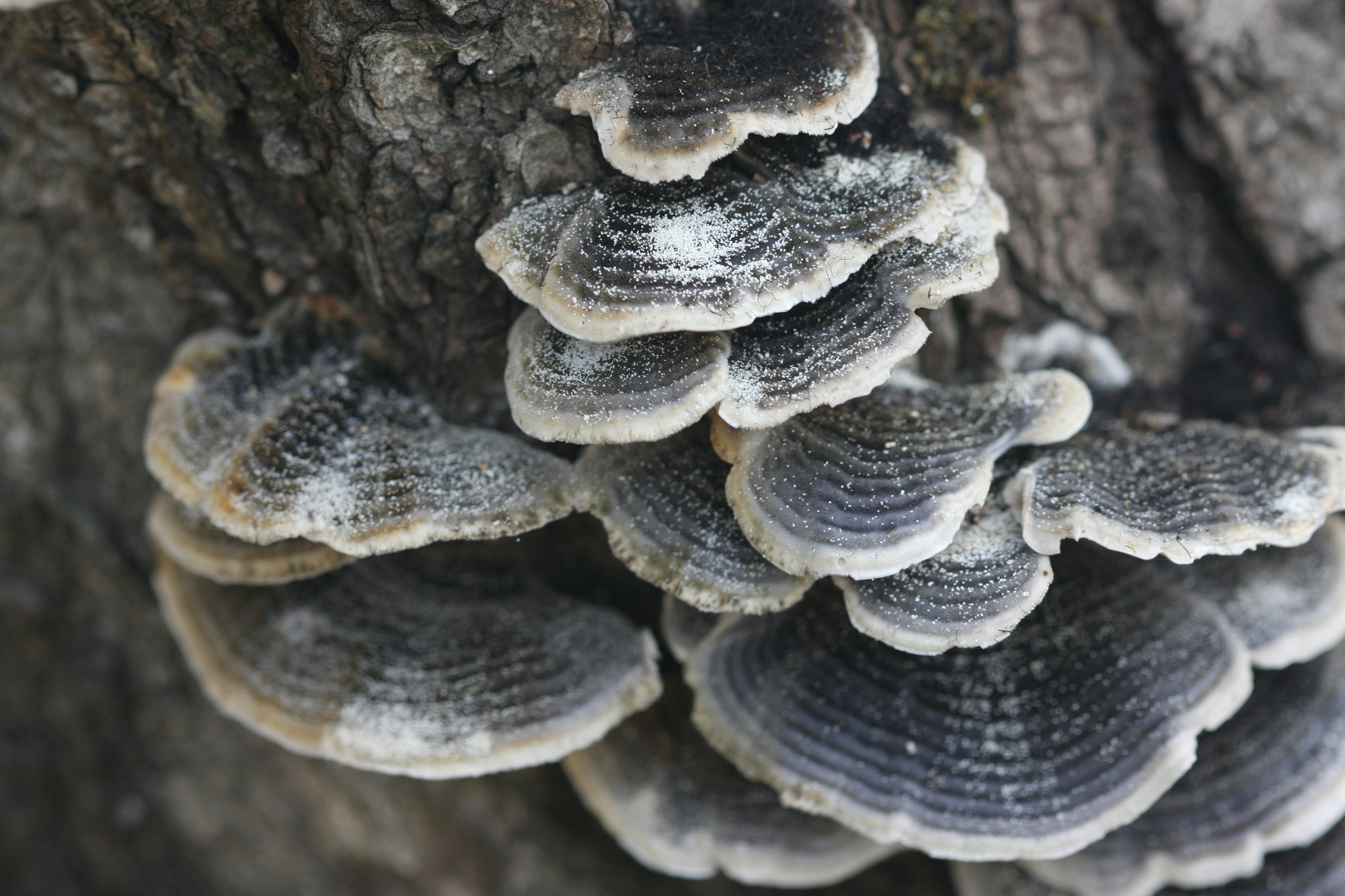 Photo by suyashbatra