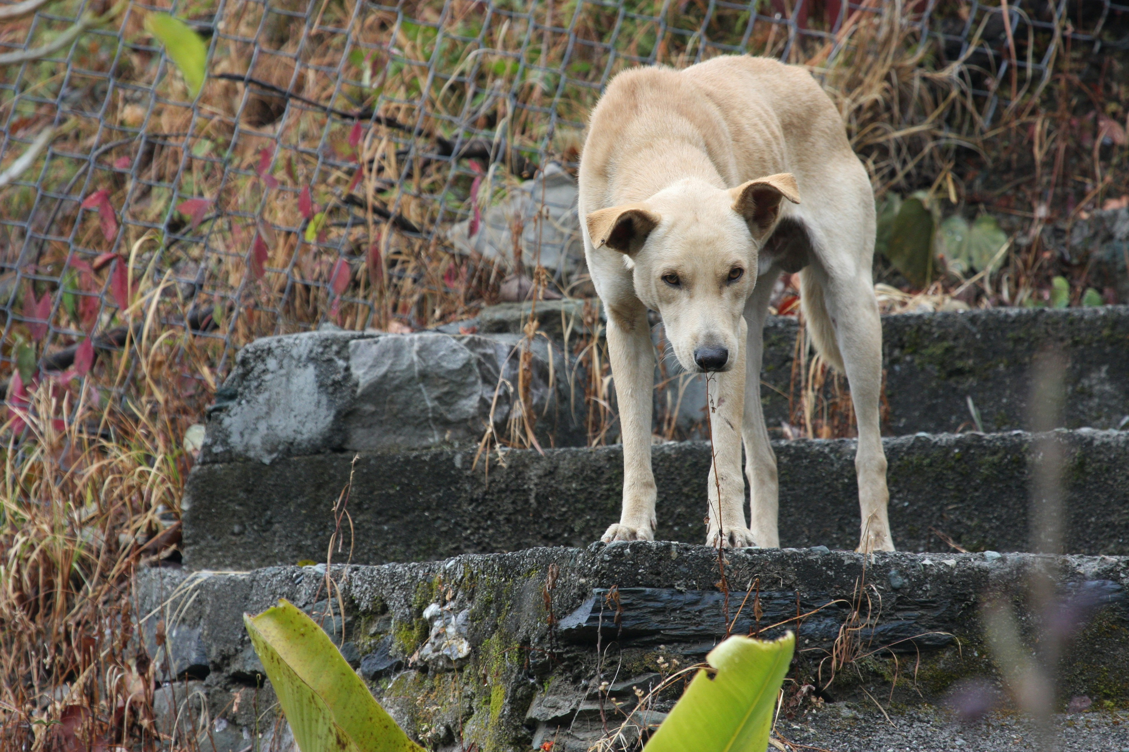Photo by suyashbatra