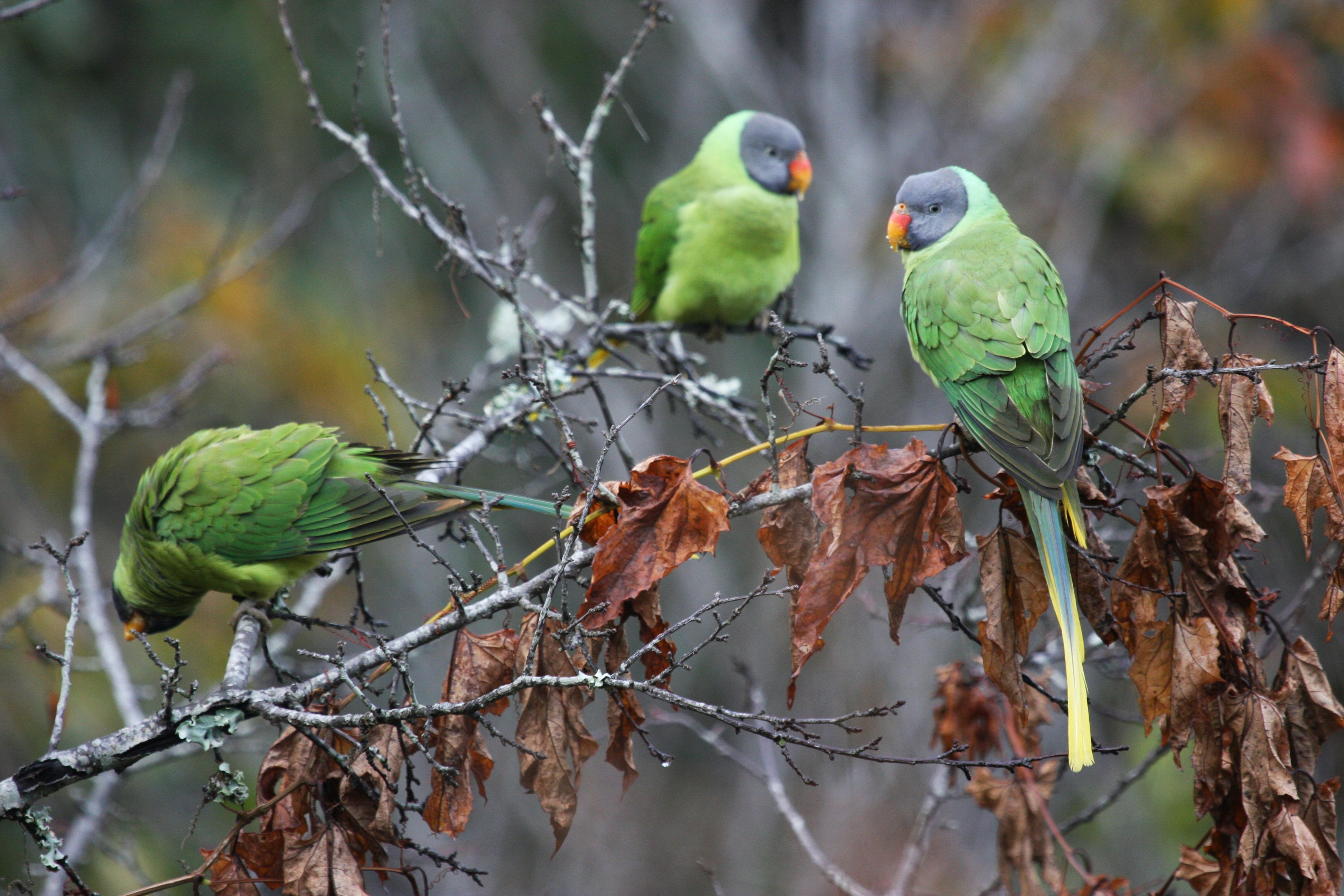 Photo by suyashbatra