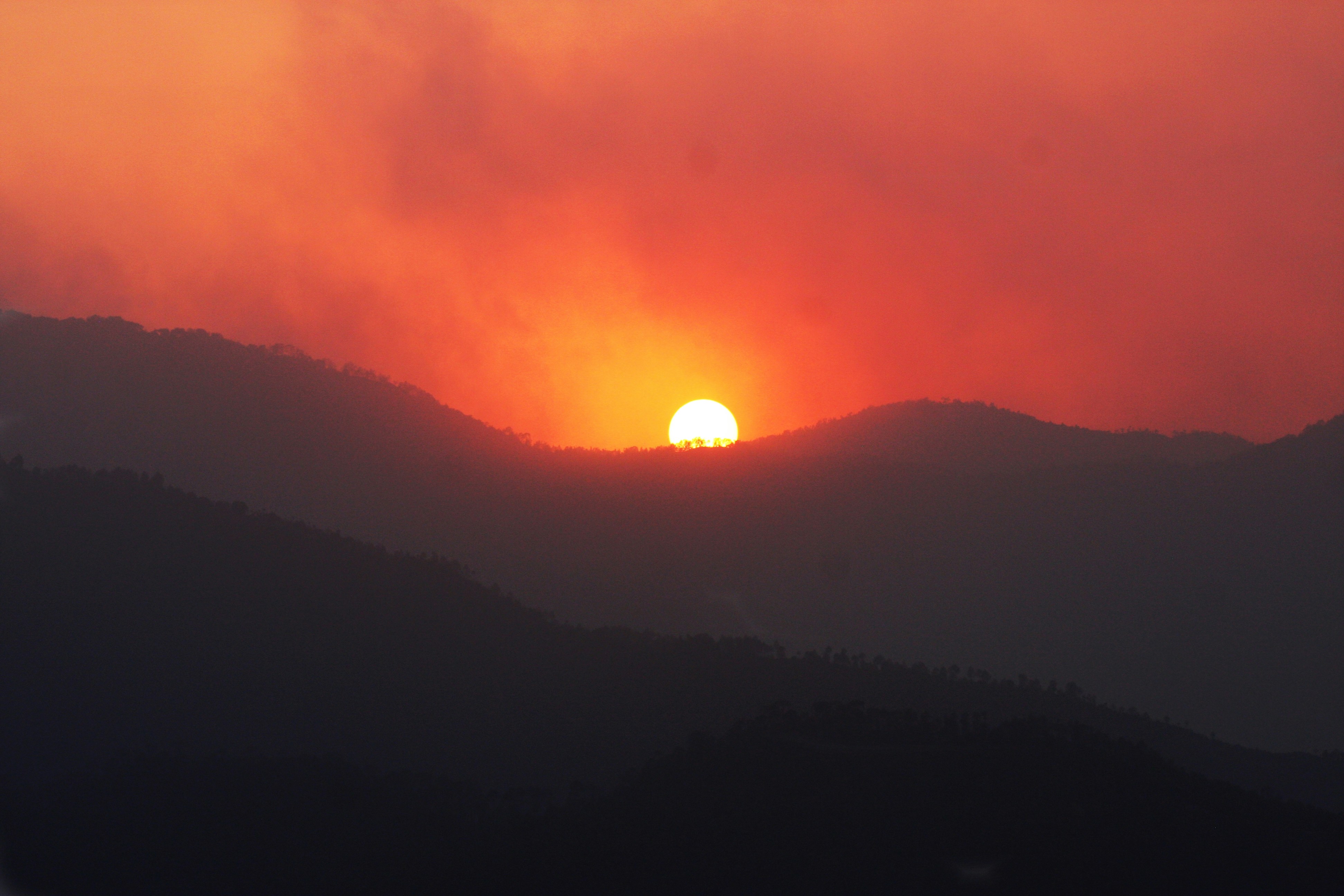 Photo by suyashbatra