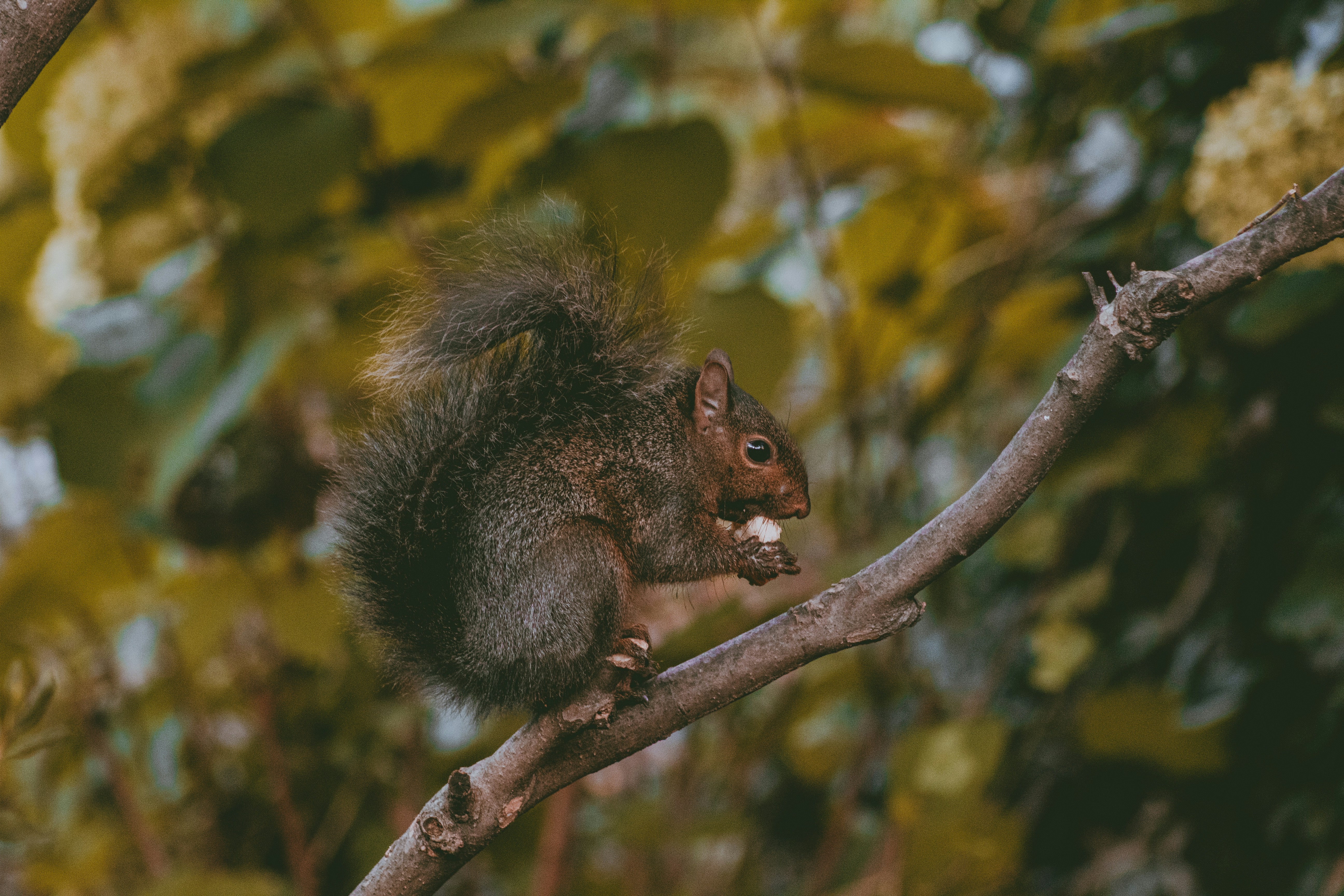 Photo by bryanthelegend