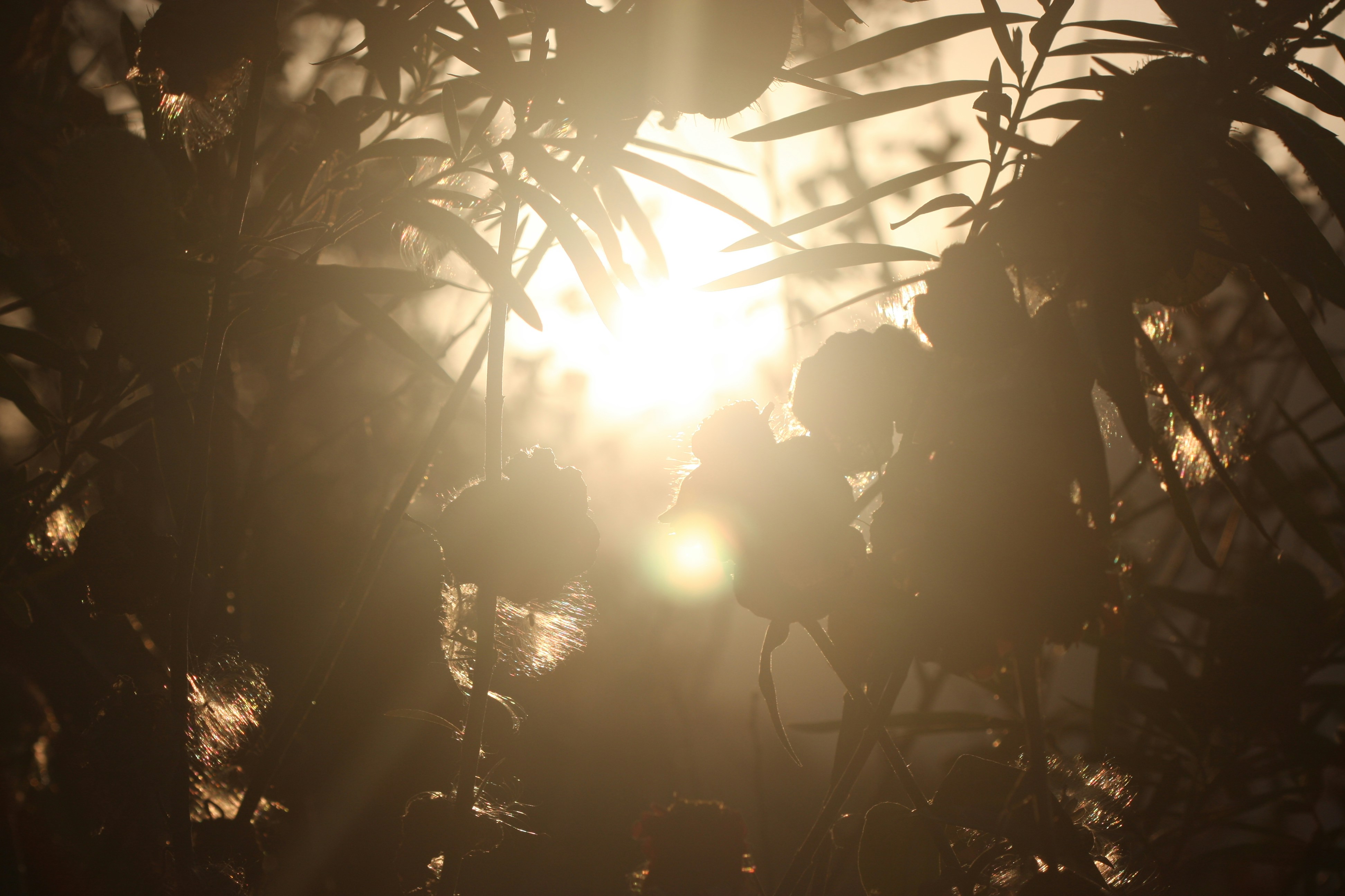 Photo by suyashbatra