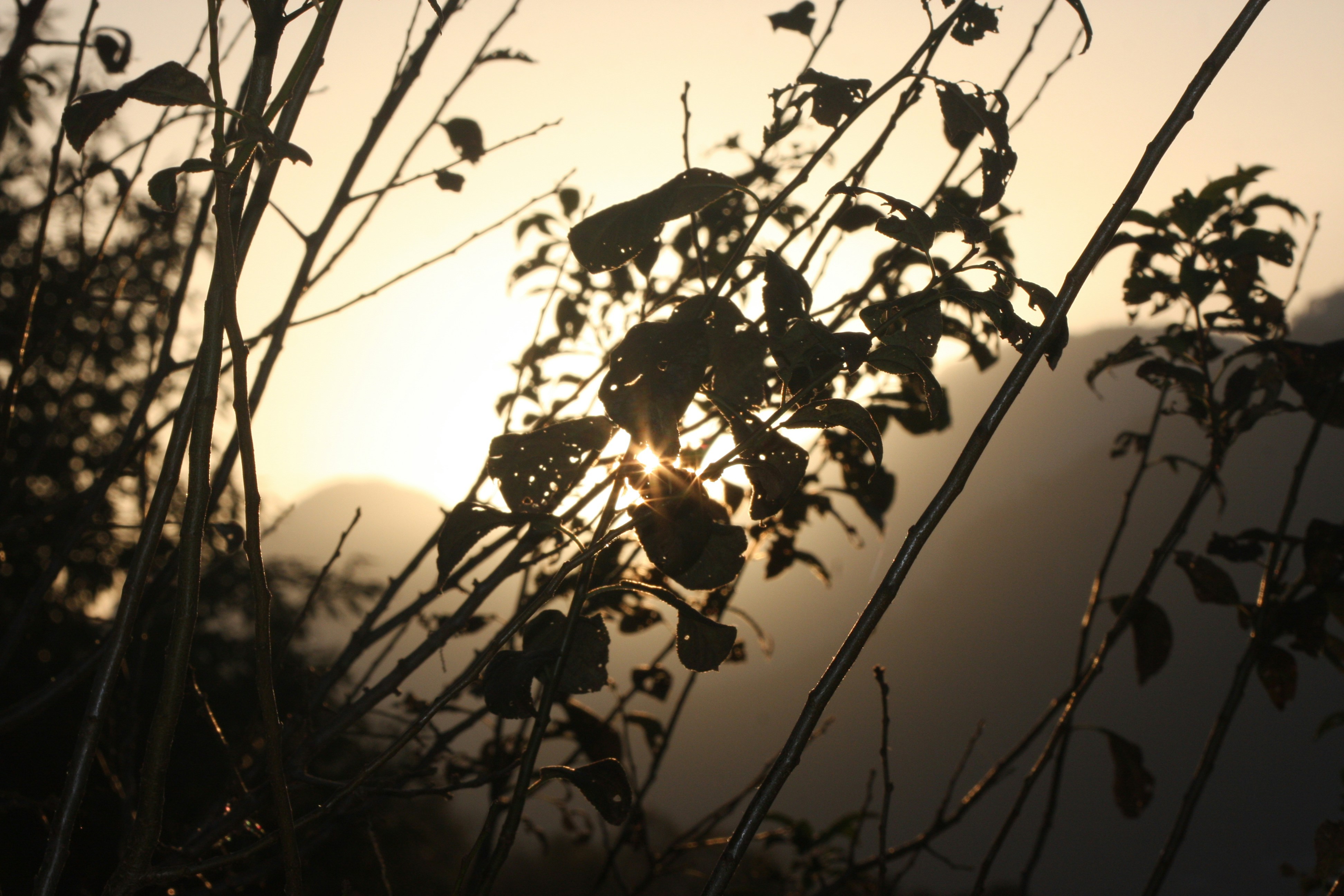 Photo by suyashbatra