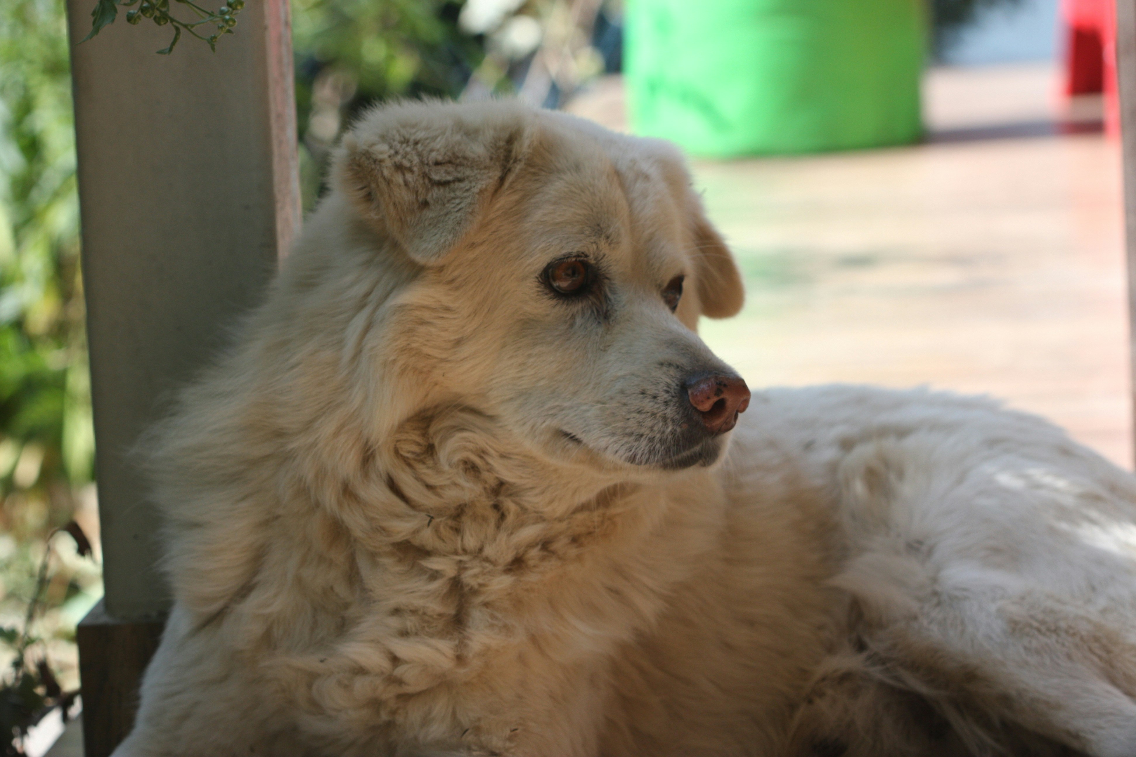 Photo by suyashbatra