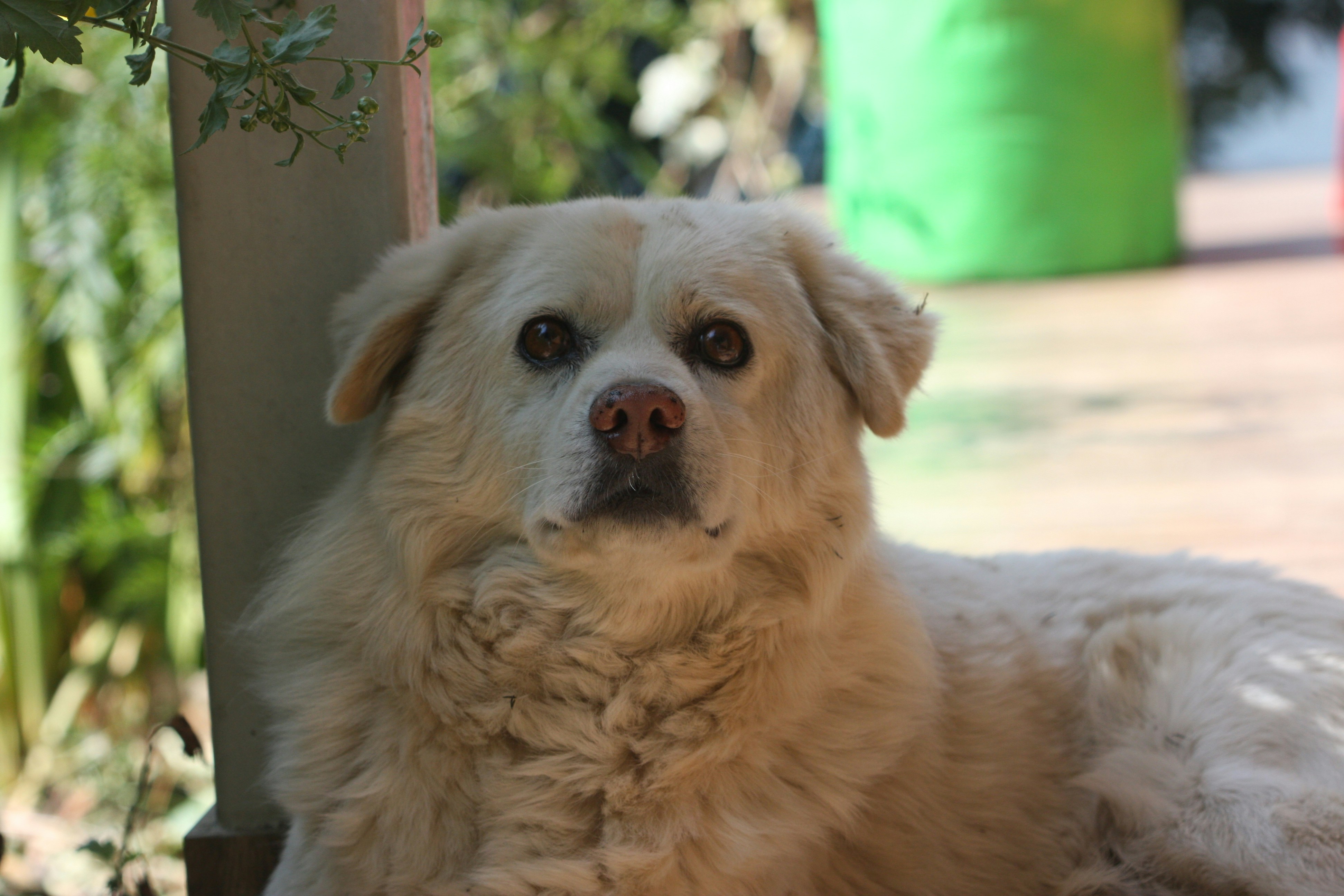 Photo by suyashbatra