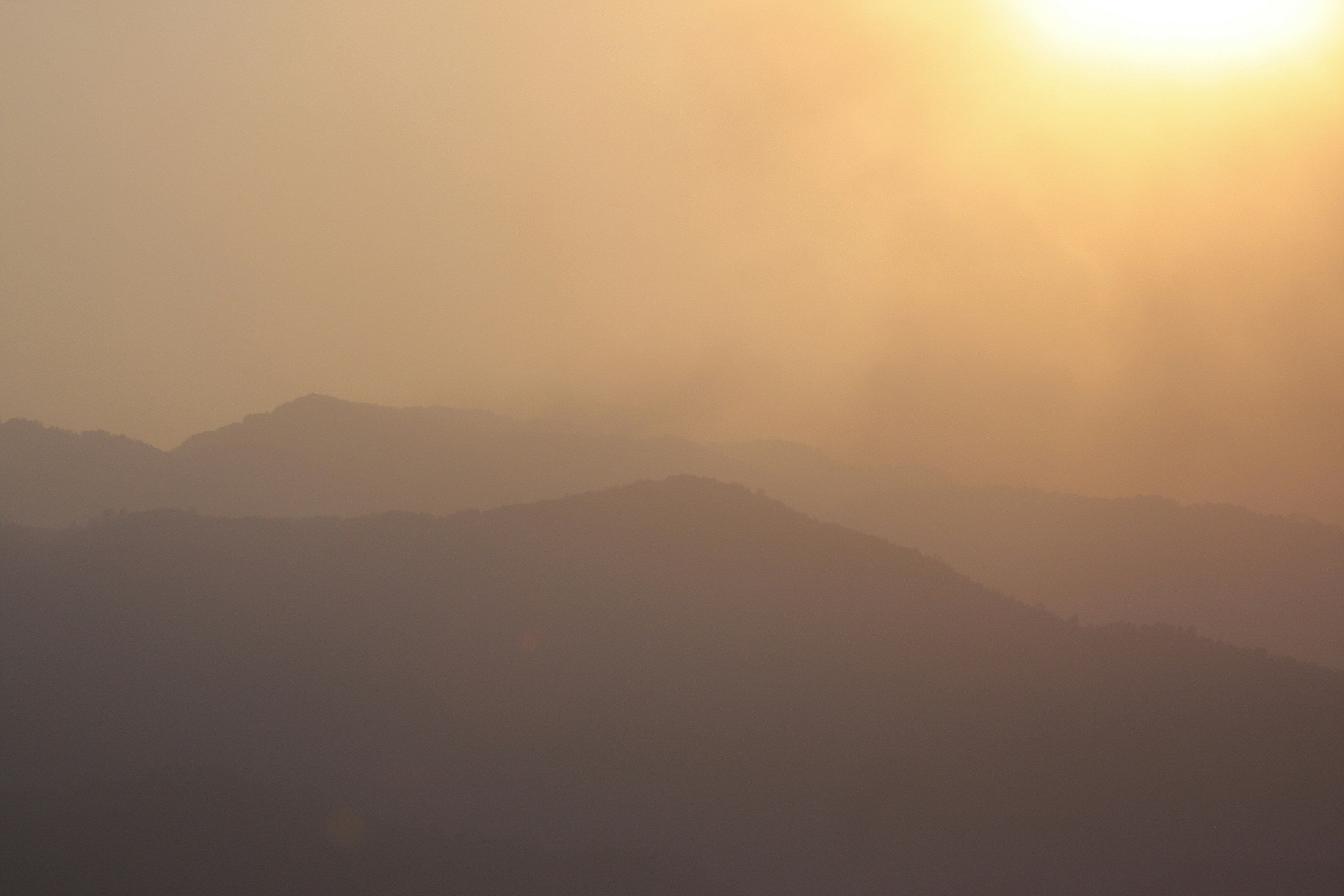 Photo by suyashbatra