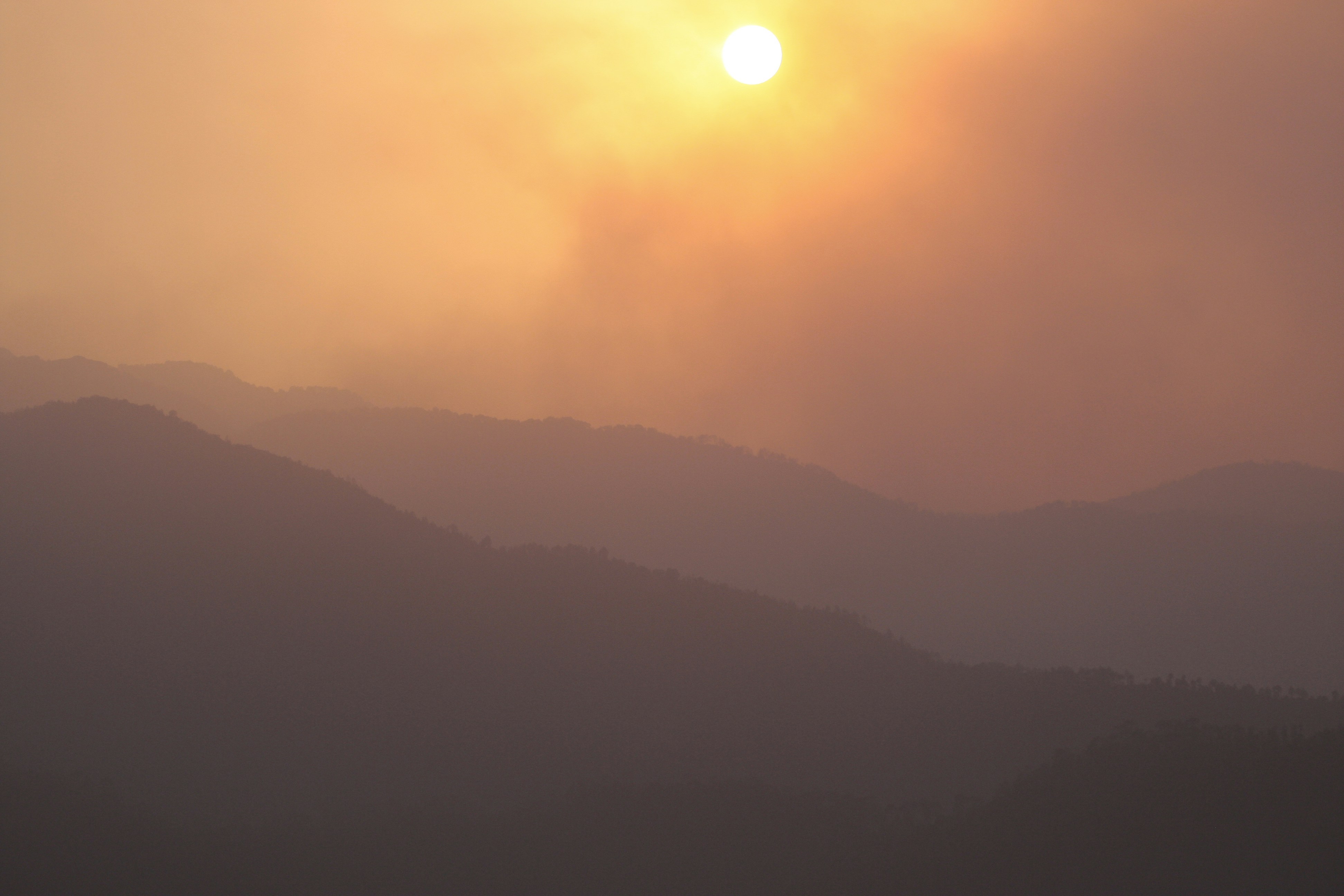 Photo by suyashbatra