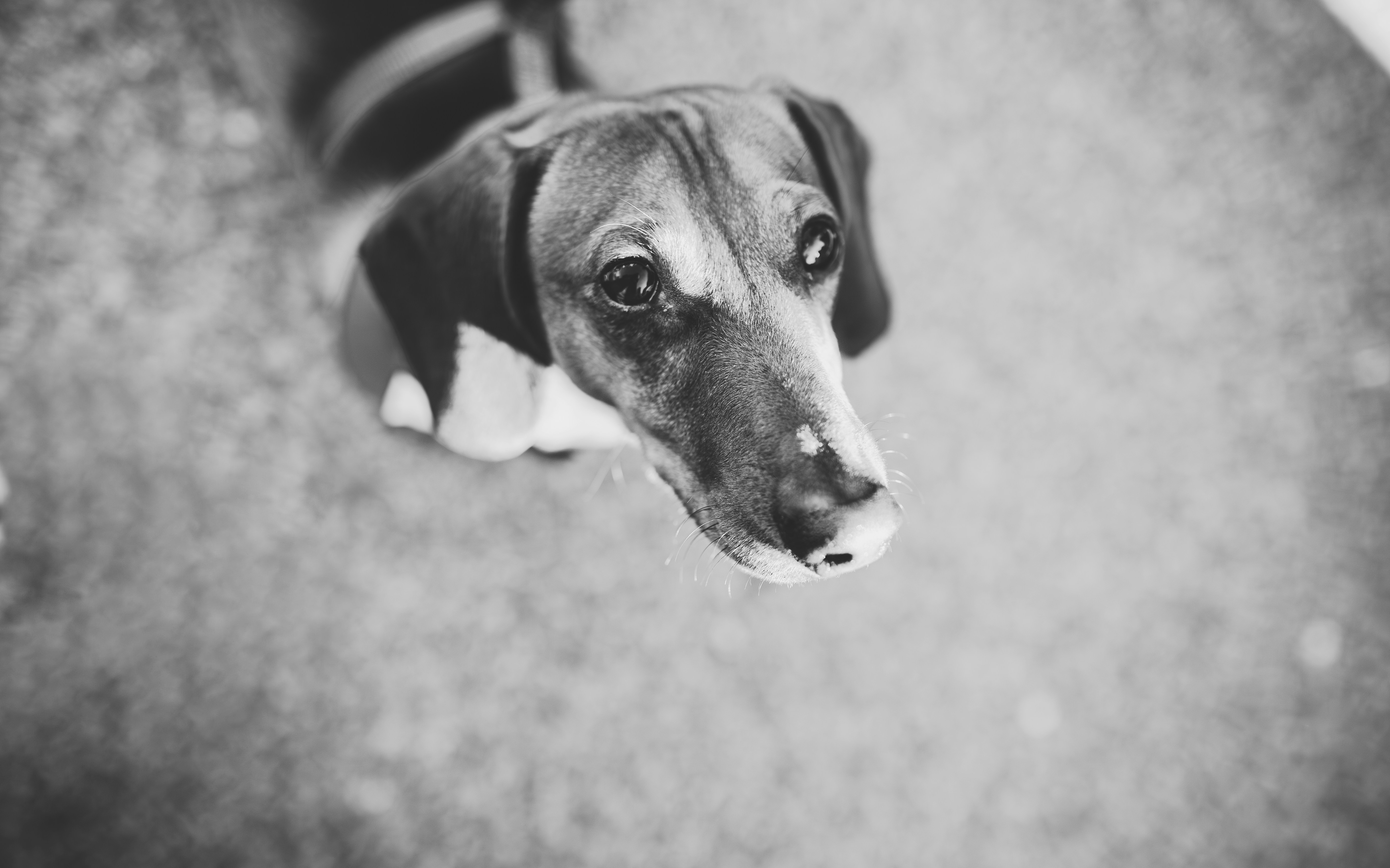 Photo by mrsunflower94