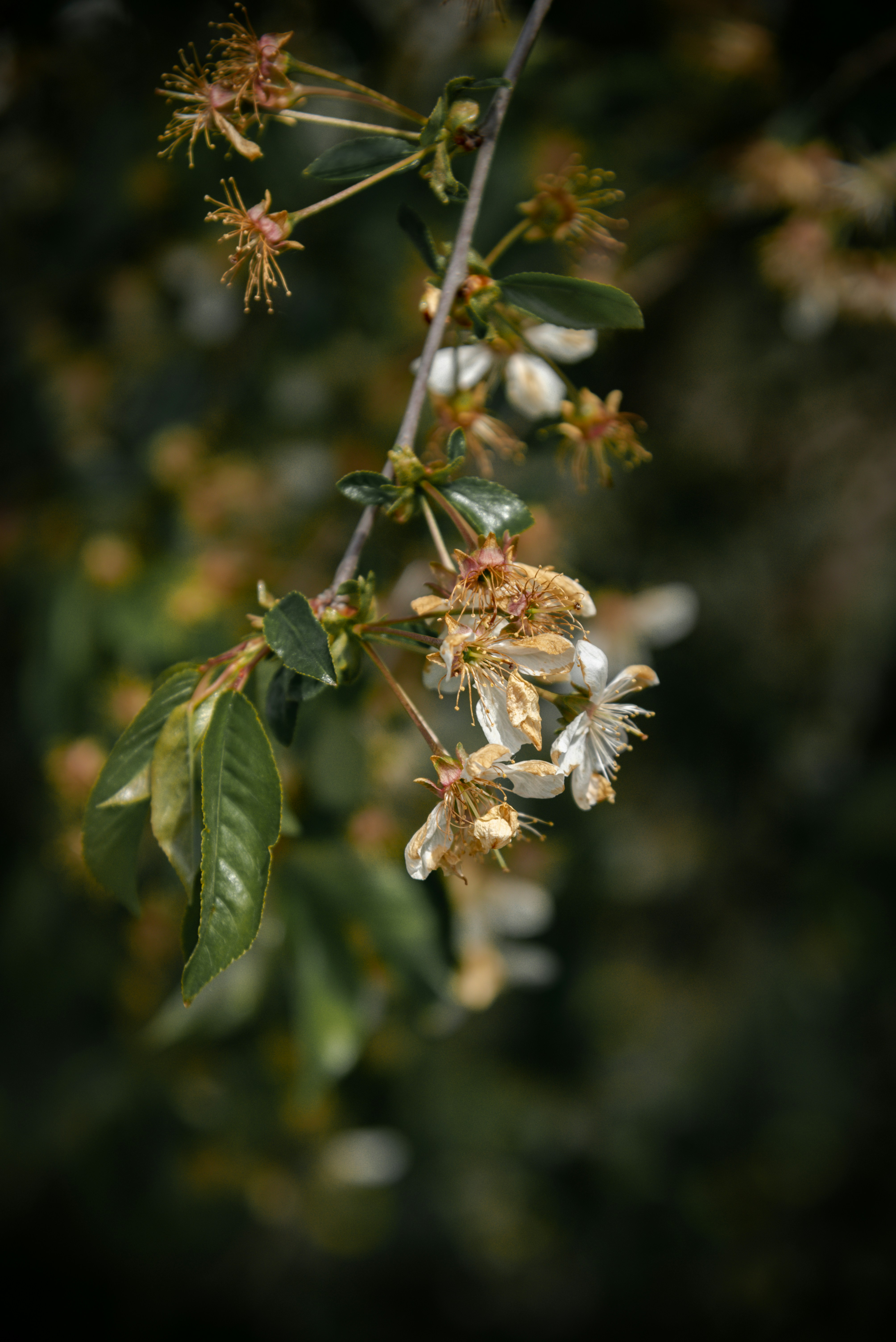 Photo by malwinanogaj