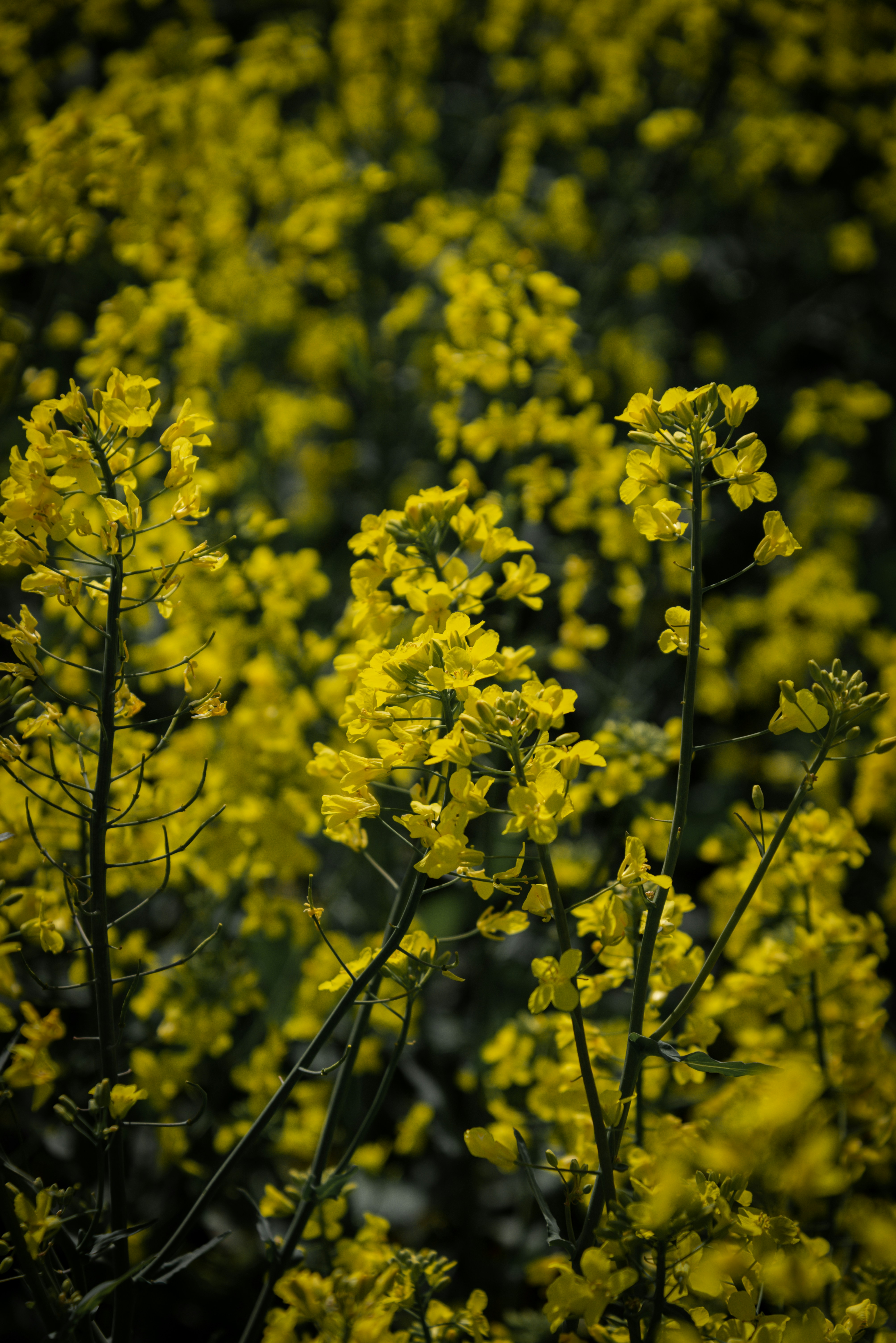 Photo by malwinanogaj