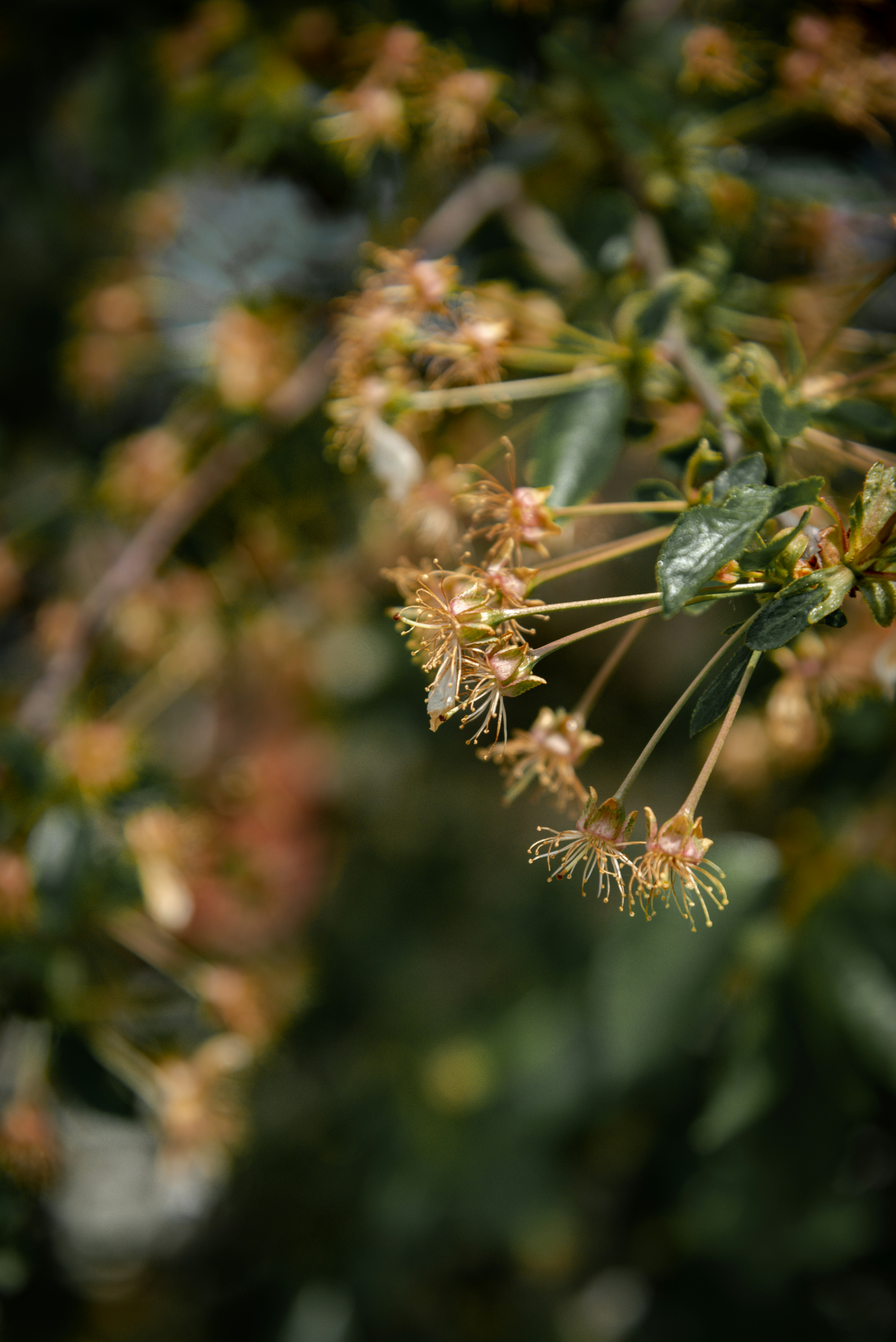 Photo by malwinanogaj