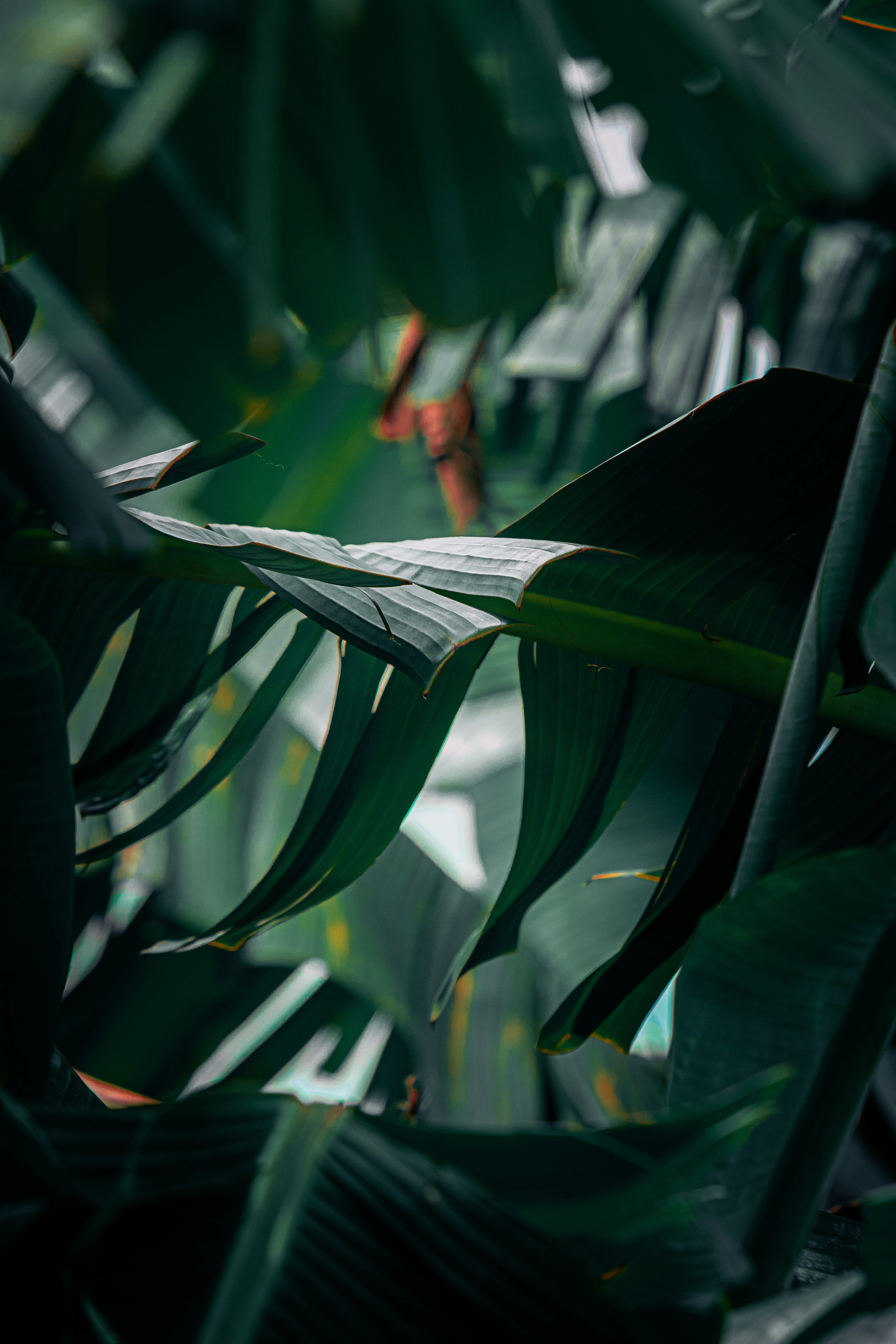 Photo by jealife_pictures