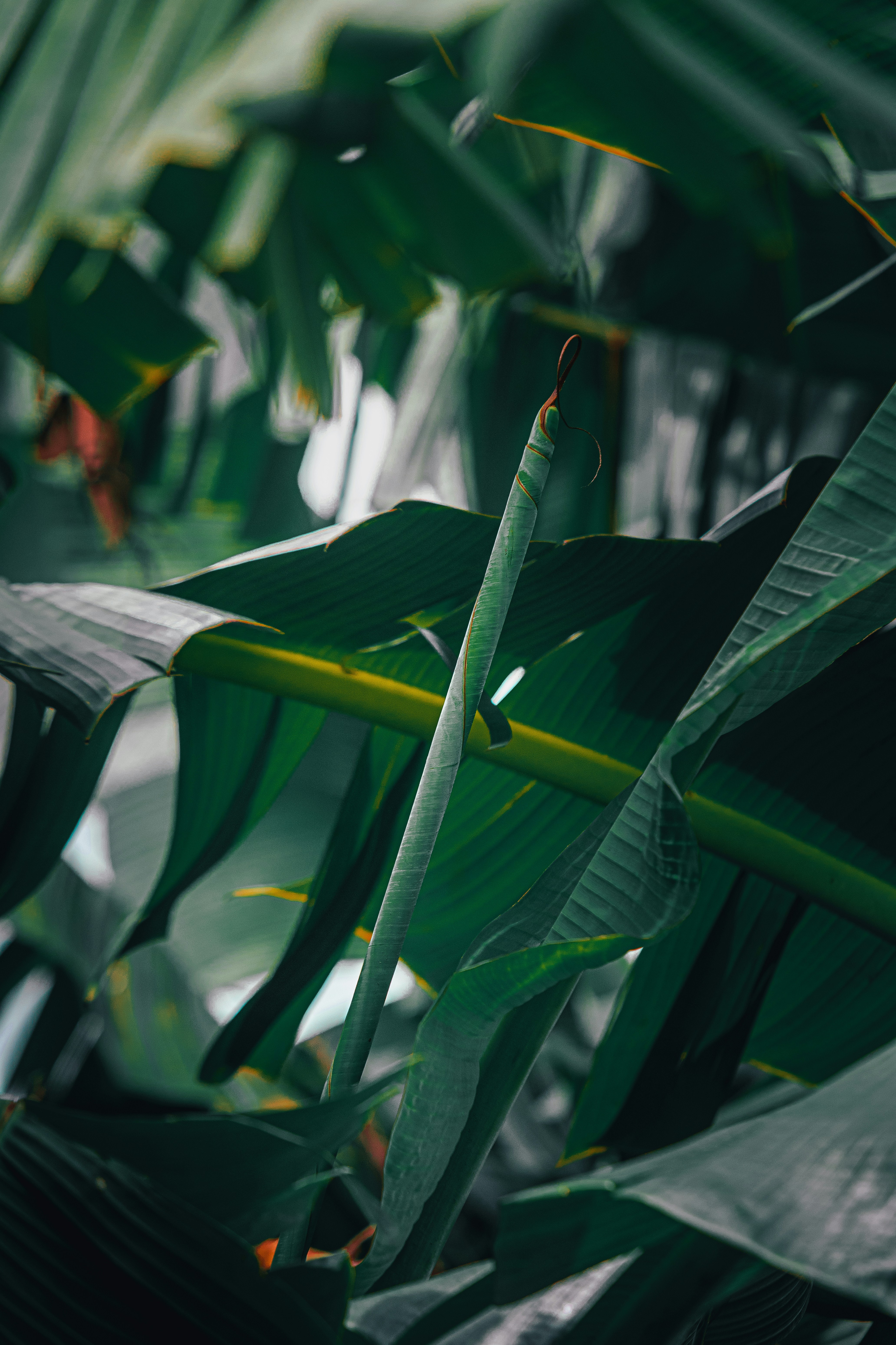 Photo by jealife_pictures