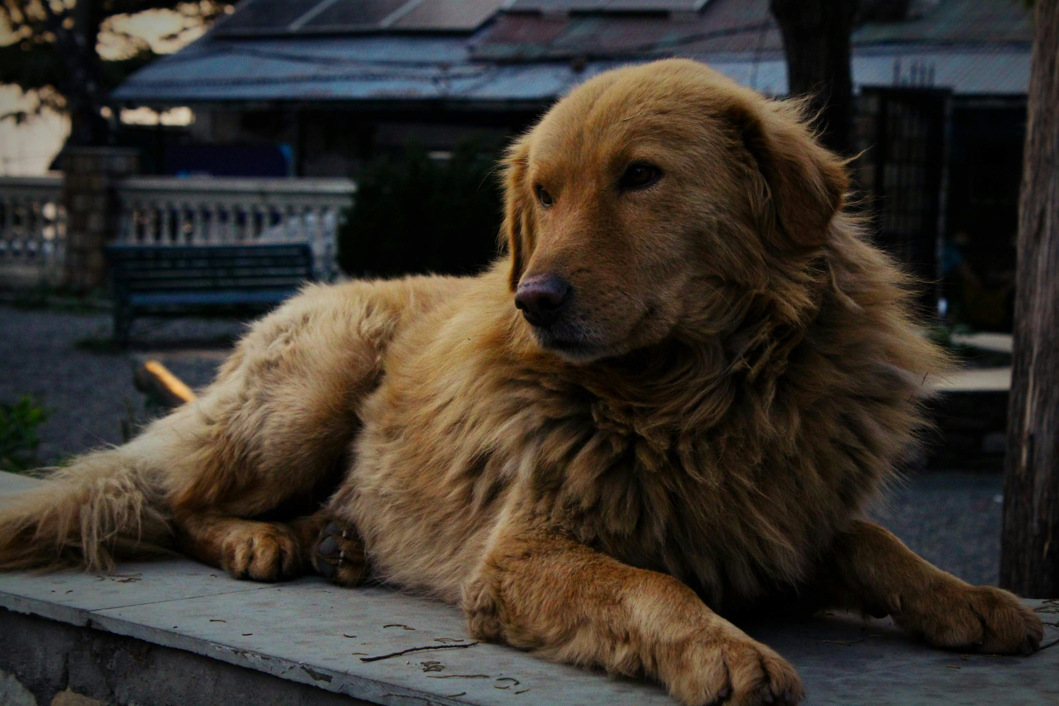 Photo by akhilabhilash01