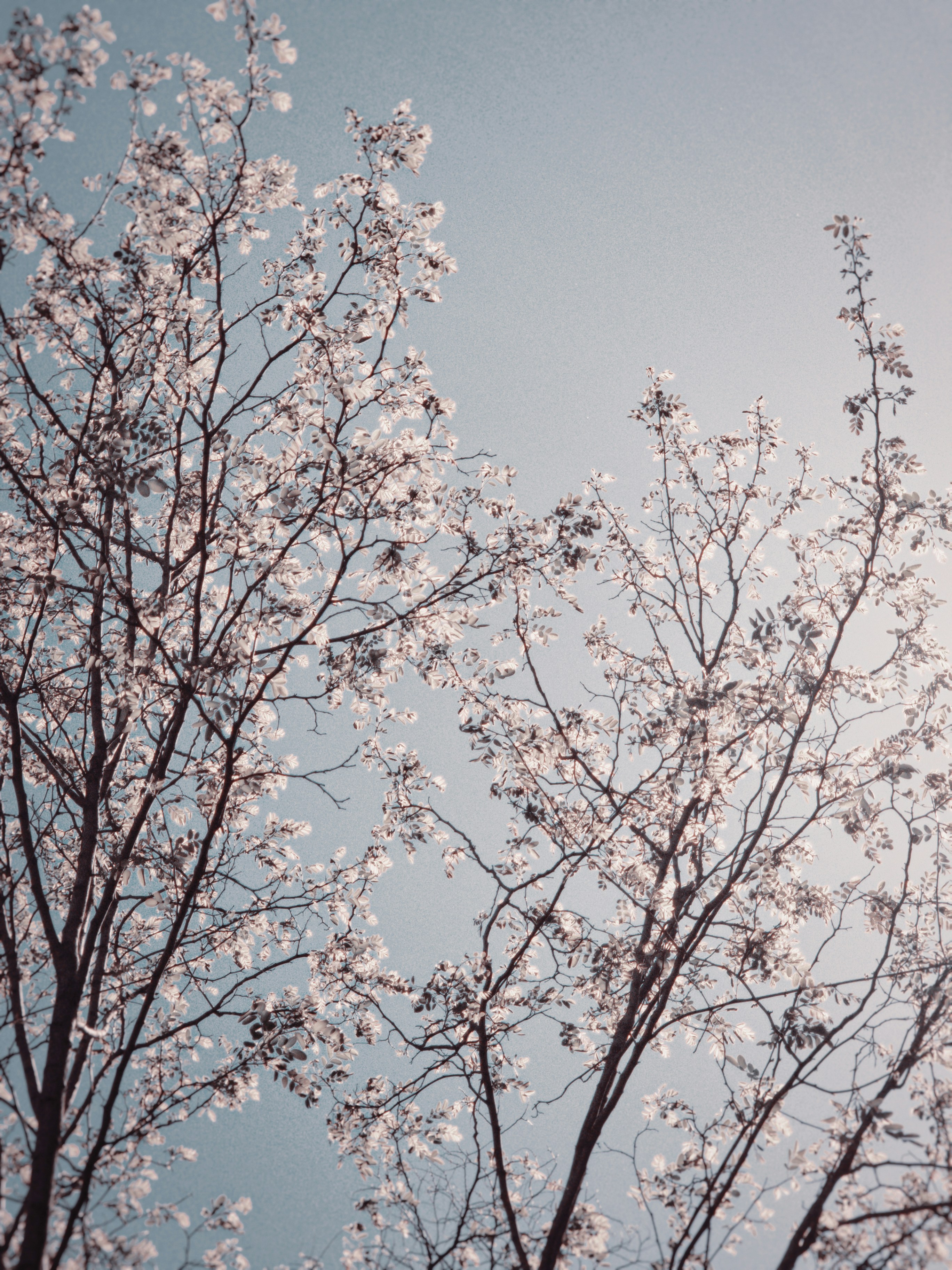 Photo by belmin_26_aljovic