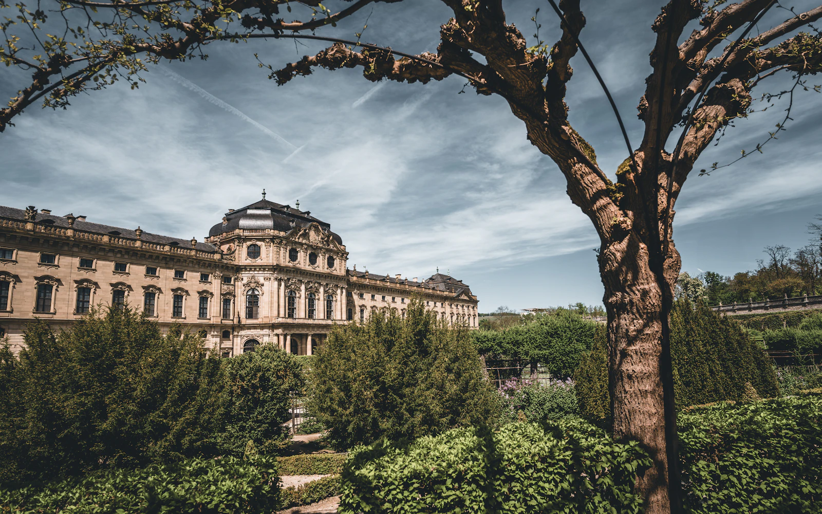 Würzburg in Winter: Residenz Tour, Old Town and Mulled Wine