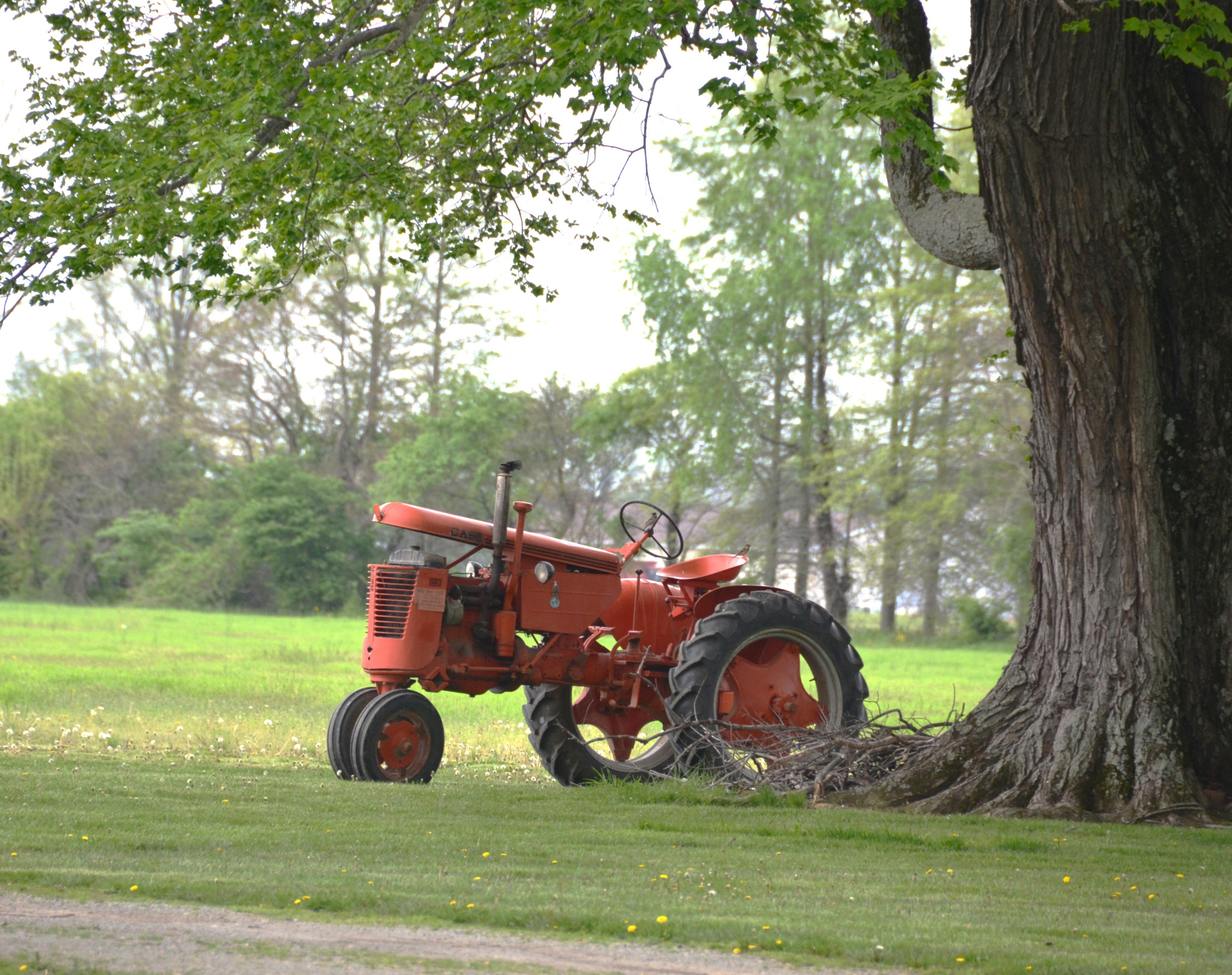 photo 1746041759606 219240d63300?crop=entropy&cs=tinysrgb&fit=max&fm=jpg&ixid=M3w1MjQ0NjR8MHwxfHNlYXJjaHwxNnx8UGVzdCUyMENvbnRyb2wlMjBTZXJ2aWNlJTIwVGlubGV5JTIwUGFyayUyMElsbGlub2lzfGVufDB8MHx8fDE3NjAzMTU0ODR8MA&ixlib=rb 4.1