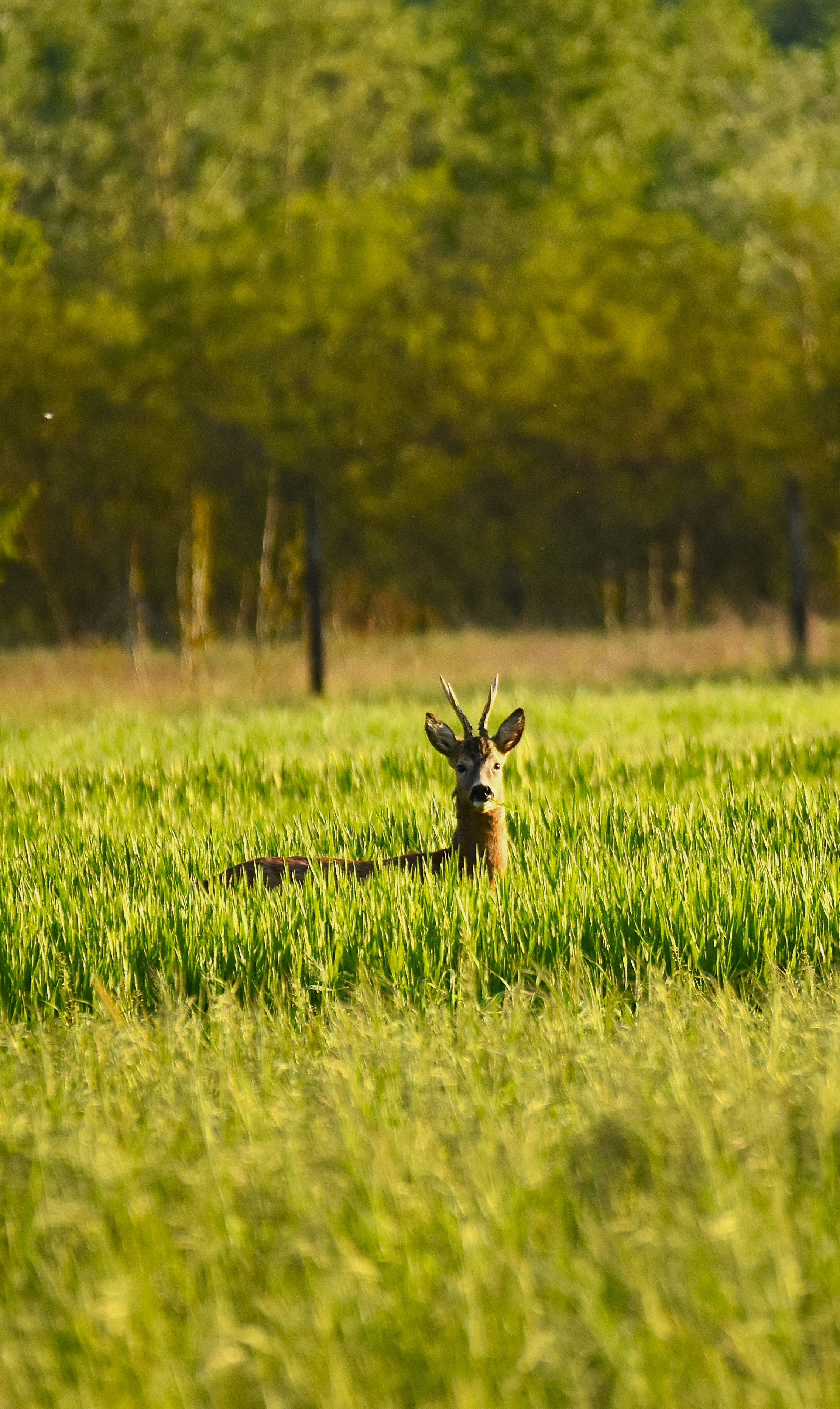 Photo by znphotogarphy