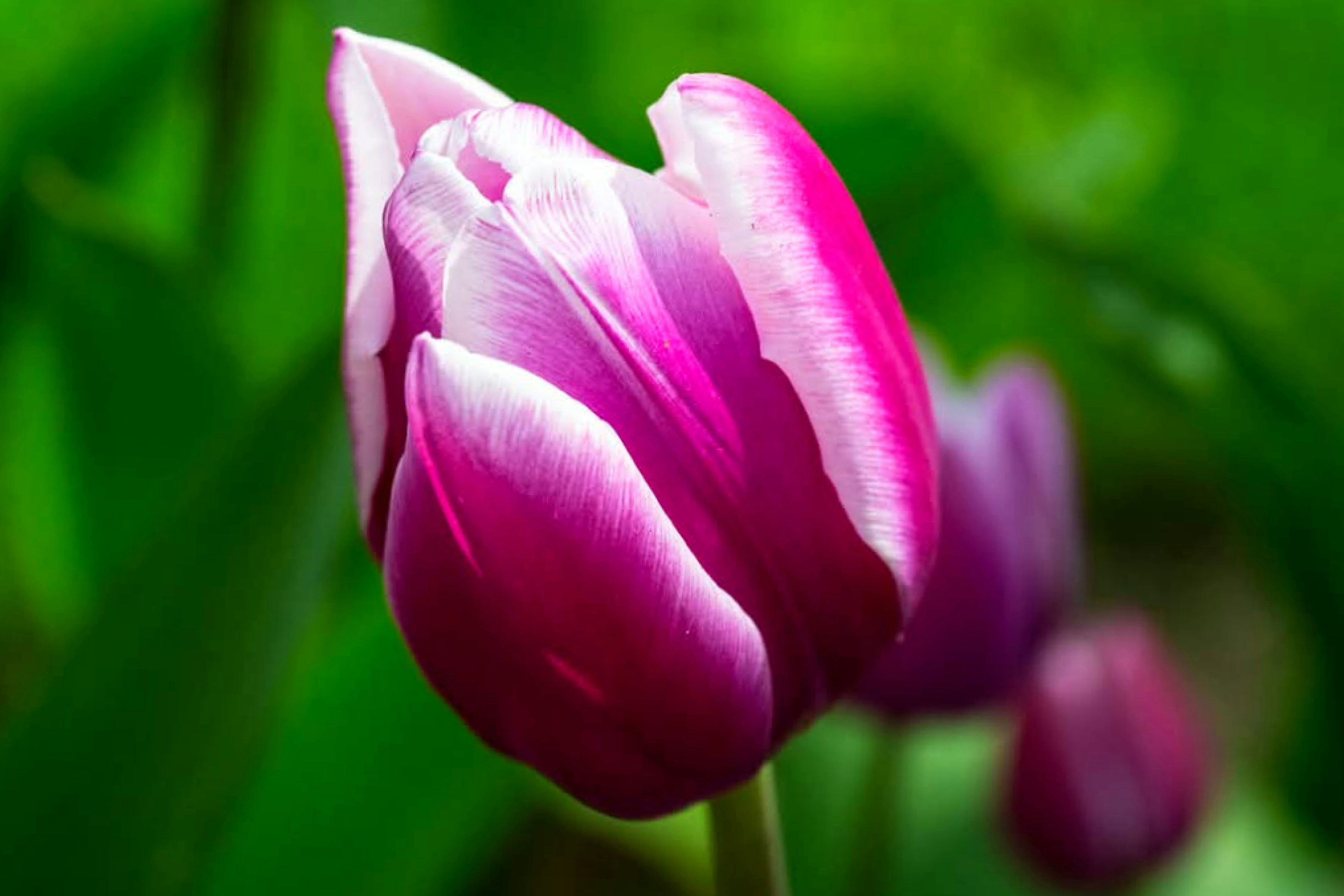 Photo by lfcsfilipesousa