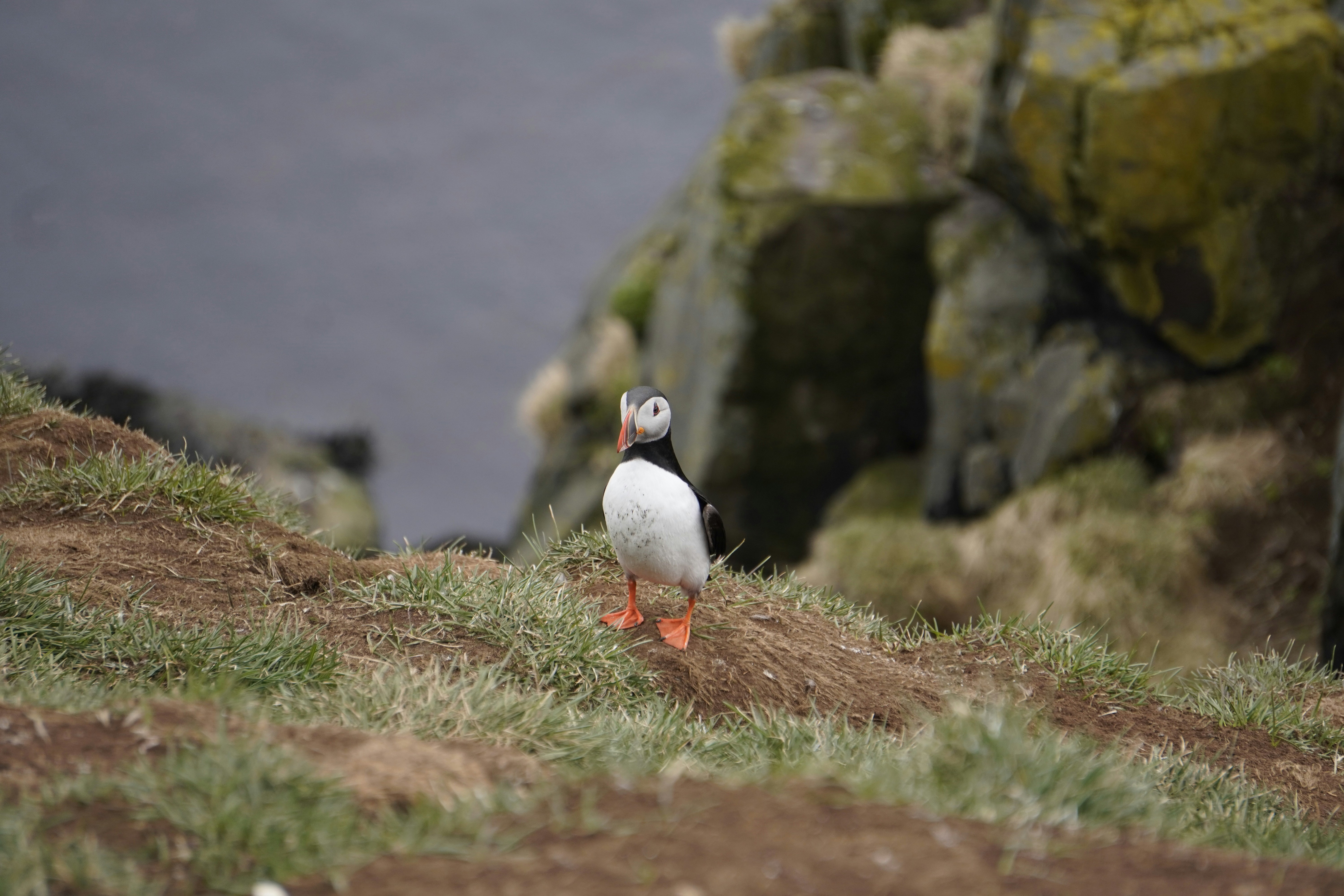 Photo by worldchris75