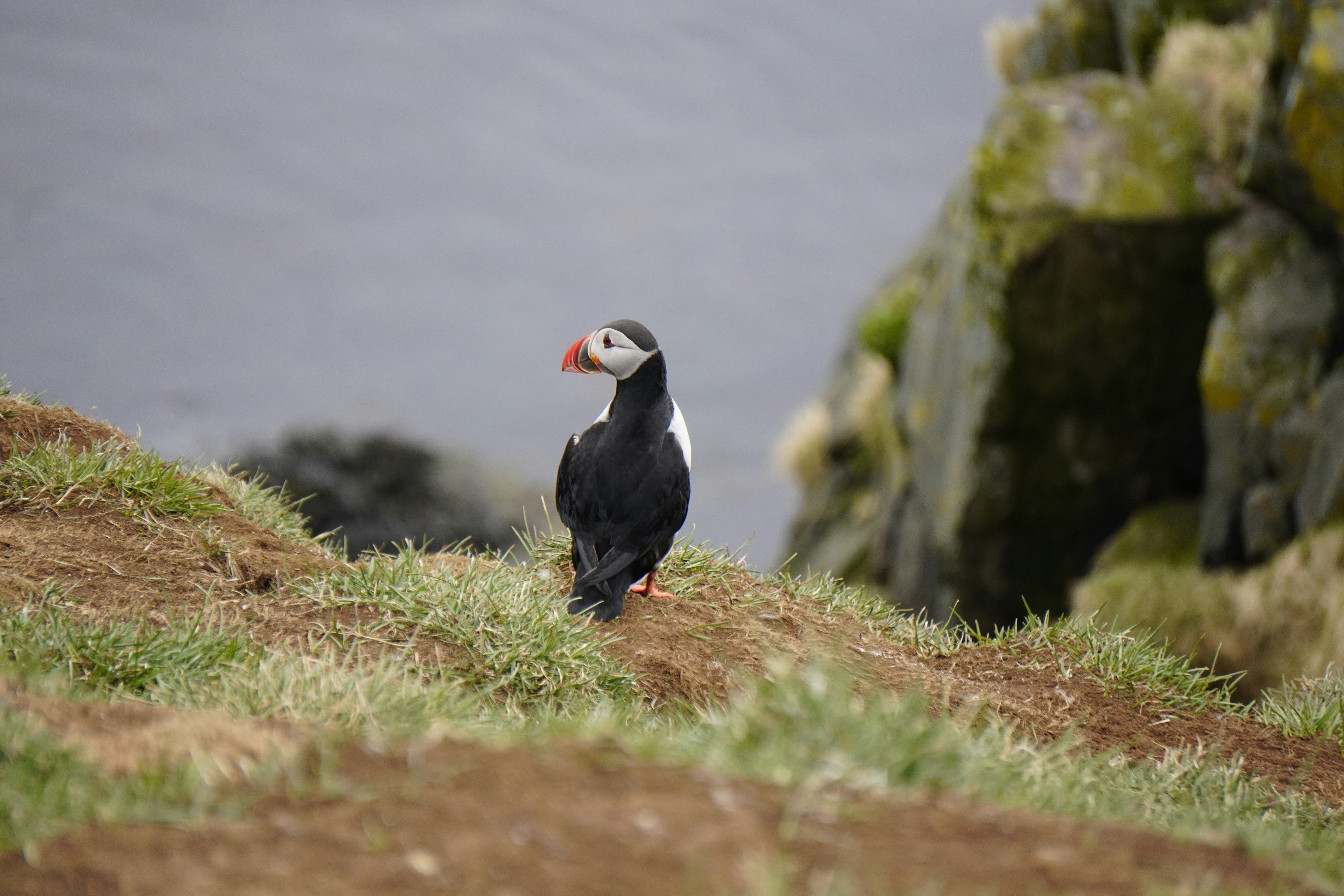 Photo by worldchris75