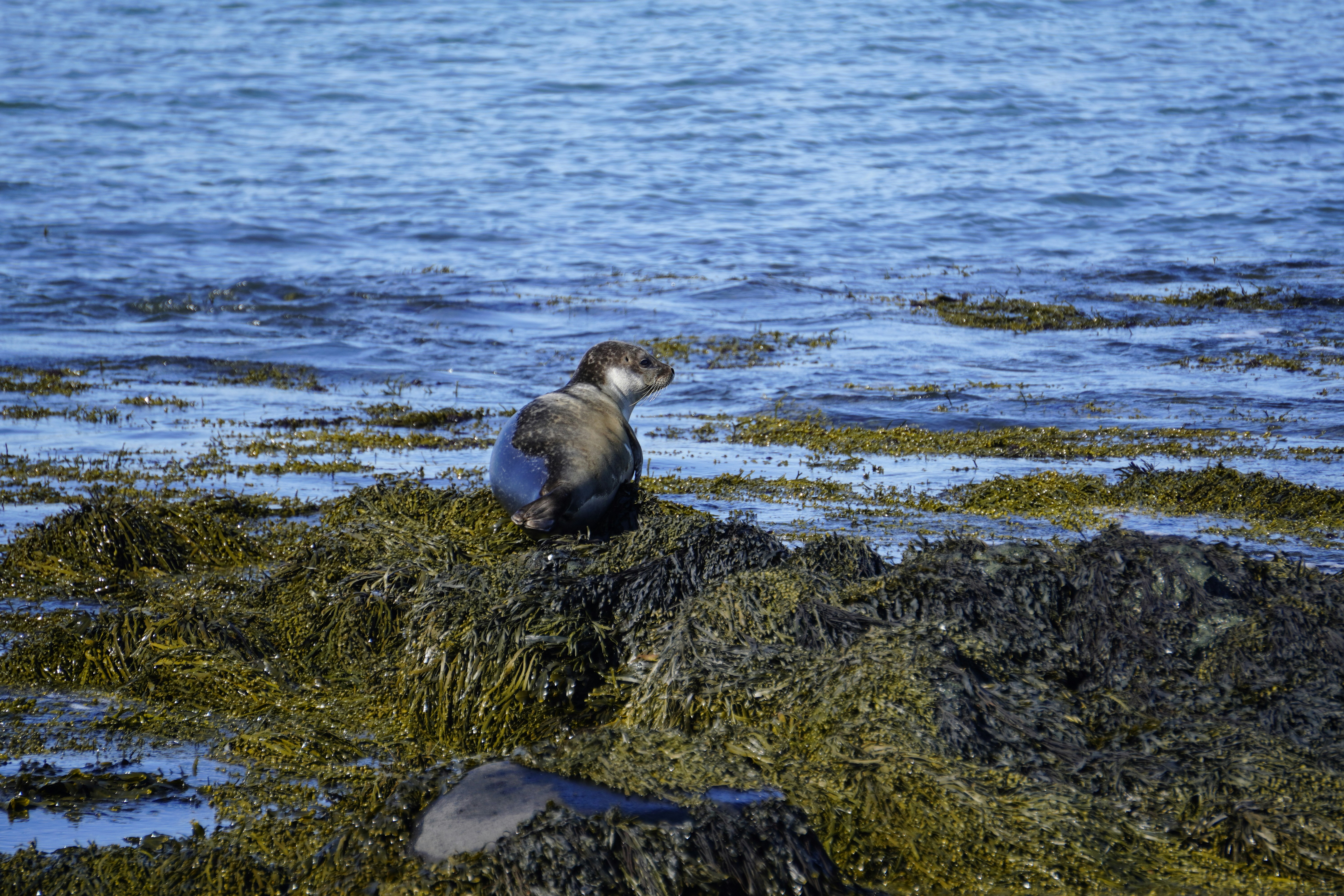 Photo by worldchris75