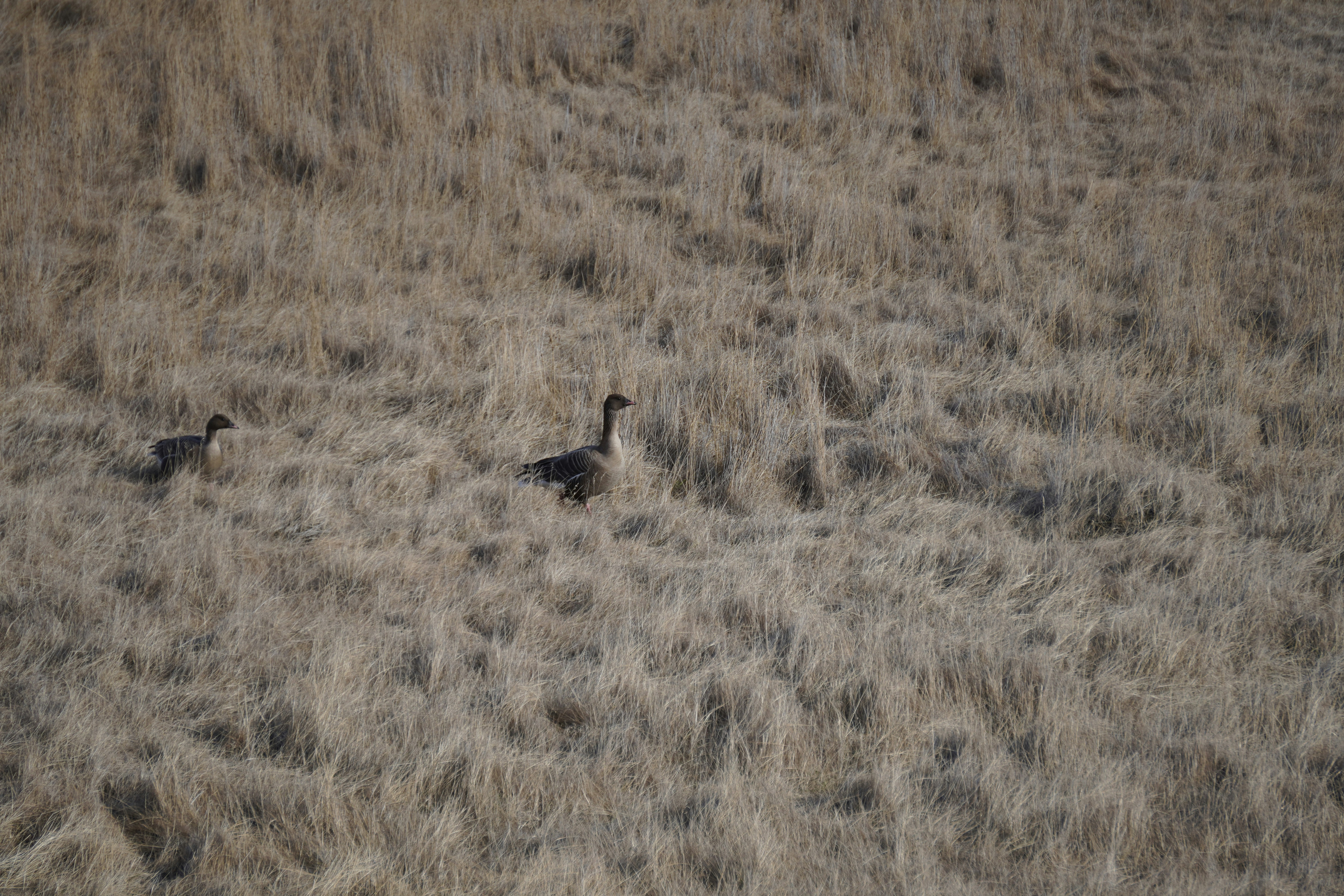 Photo by worldchris75