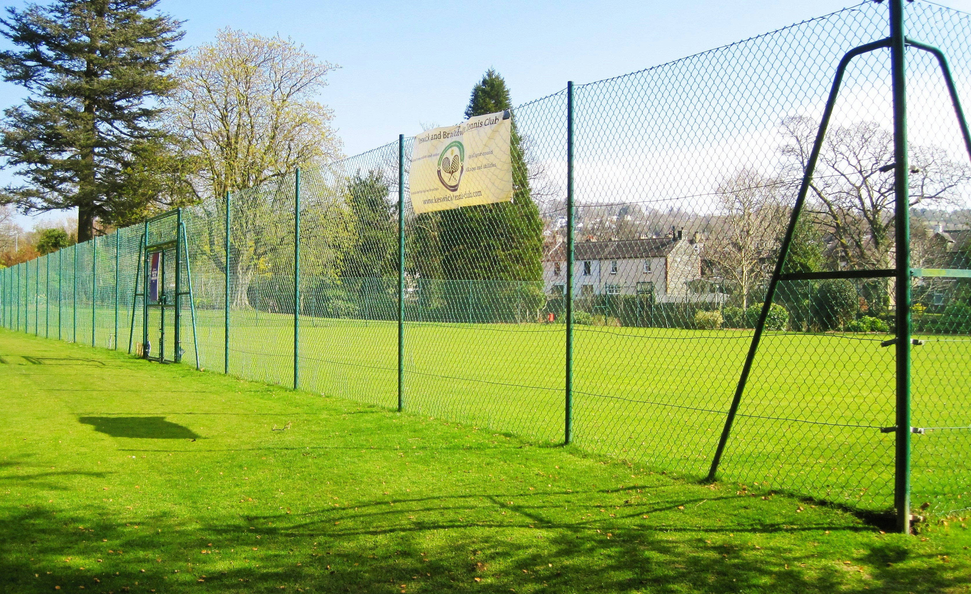 Recent cricket practice