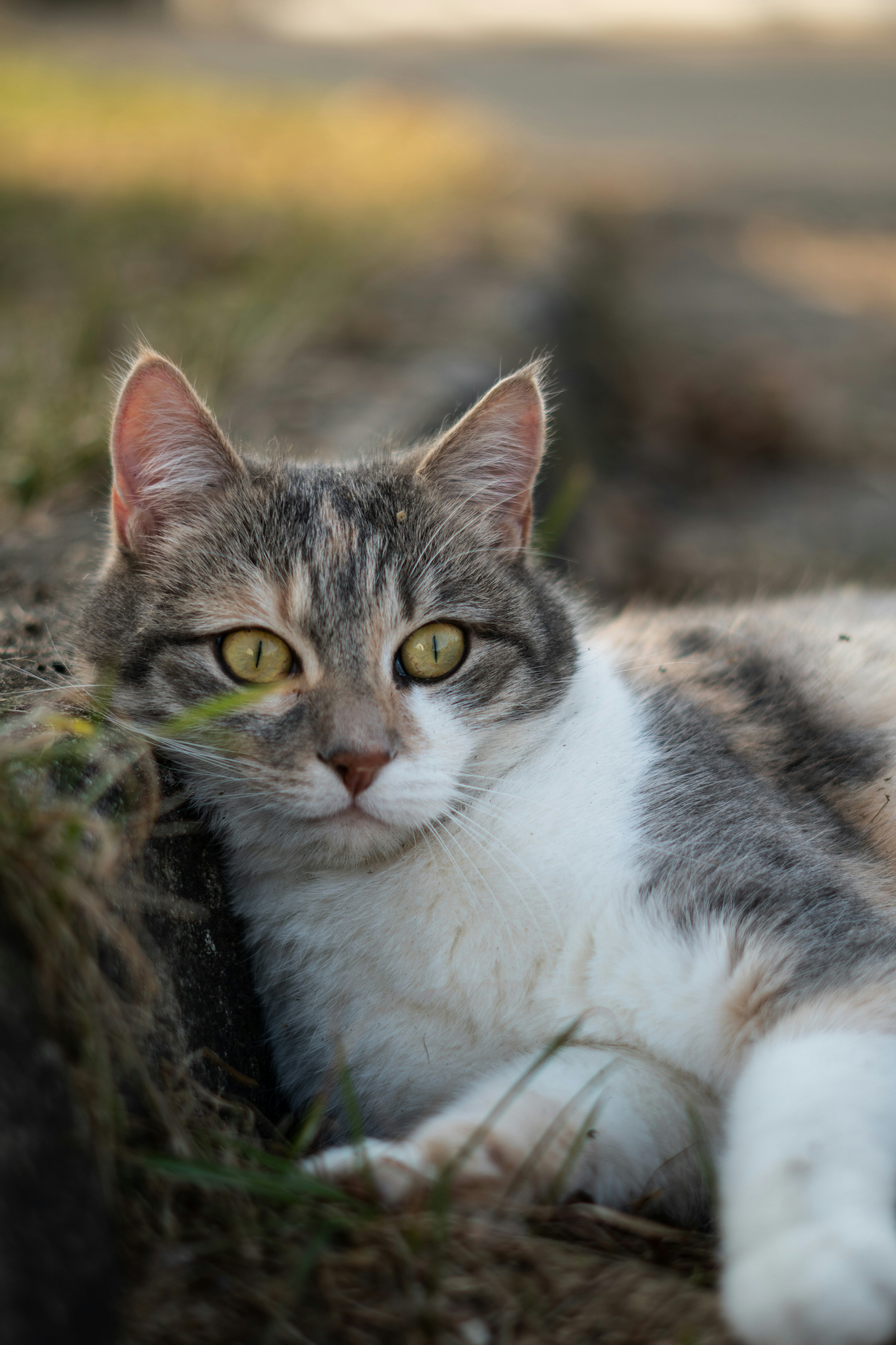 Soft, Relaxed Body Language (image credits: unsplash)