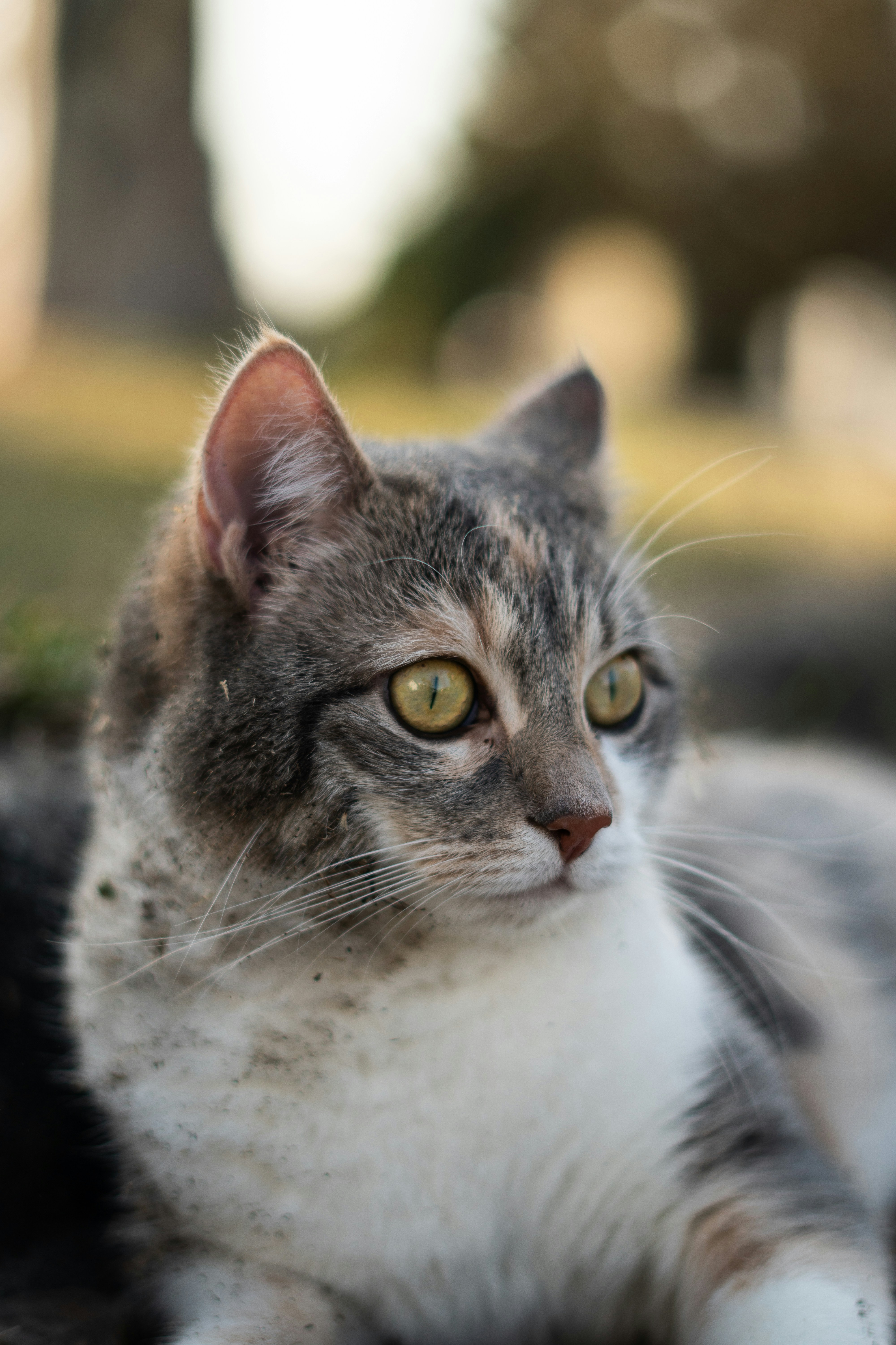 Photo by theartofnoticing