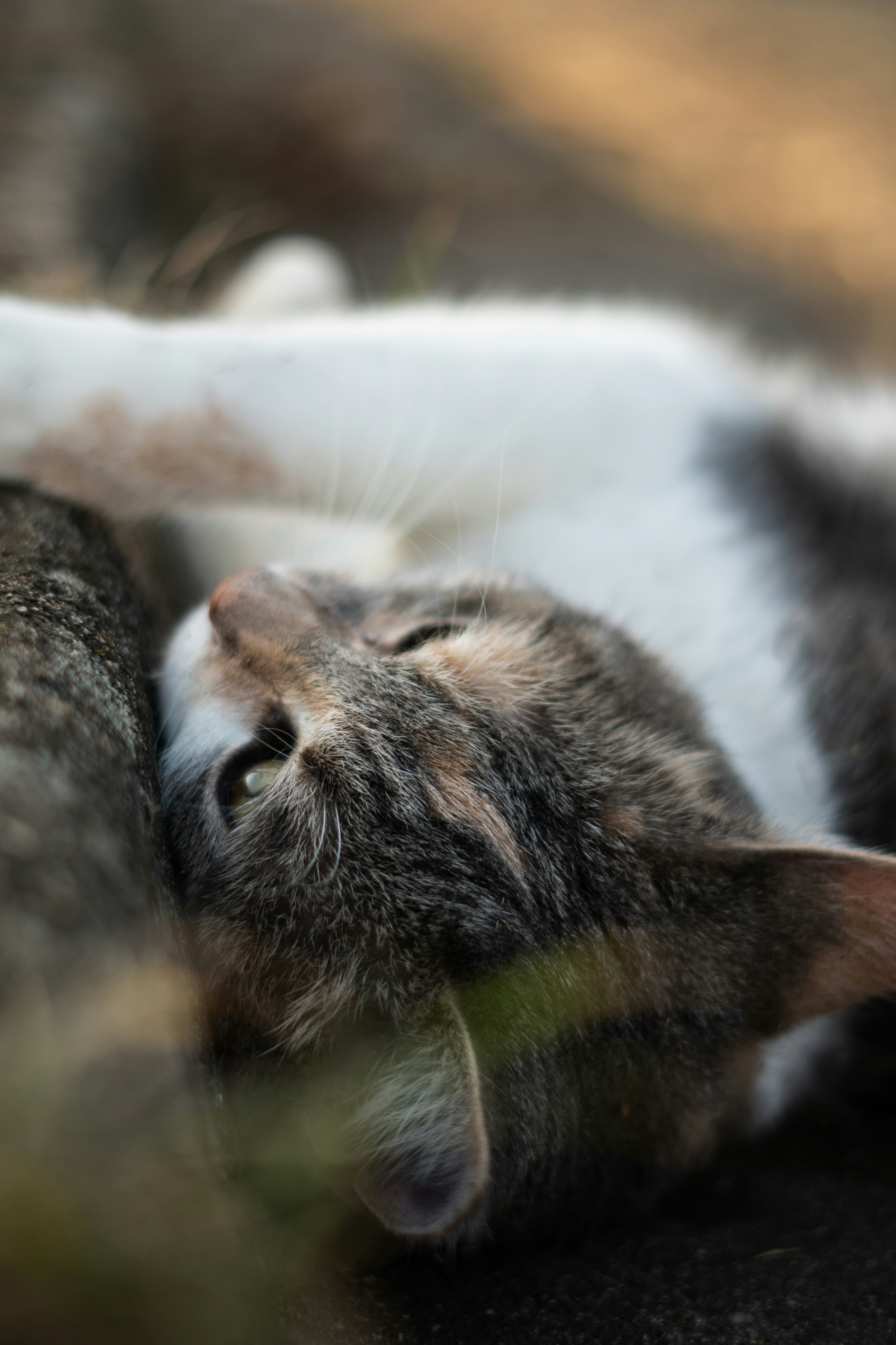 Photo by theartofnoticing