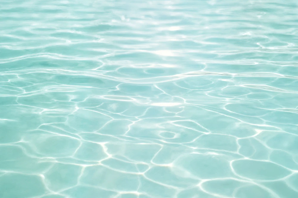 About Our Pool Pump Repair and Replacement