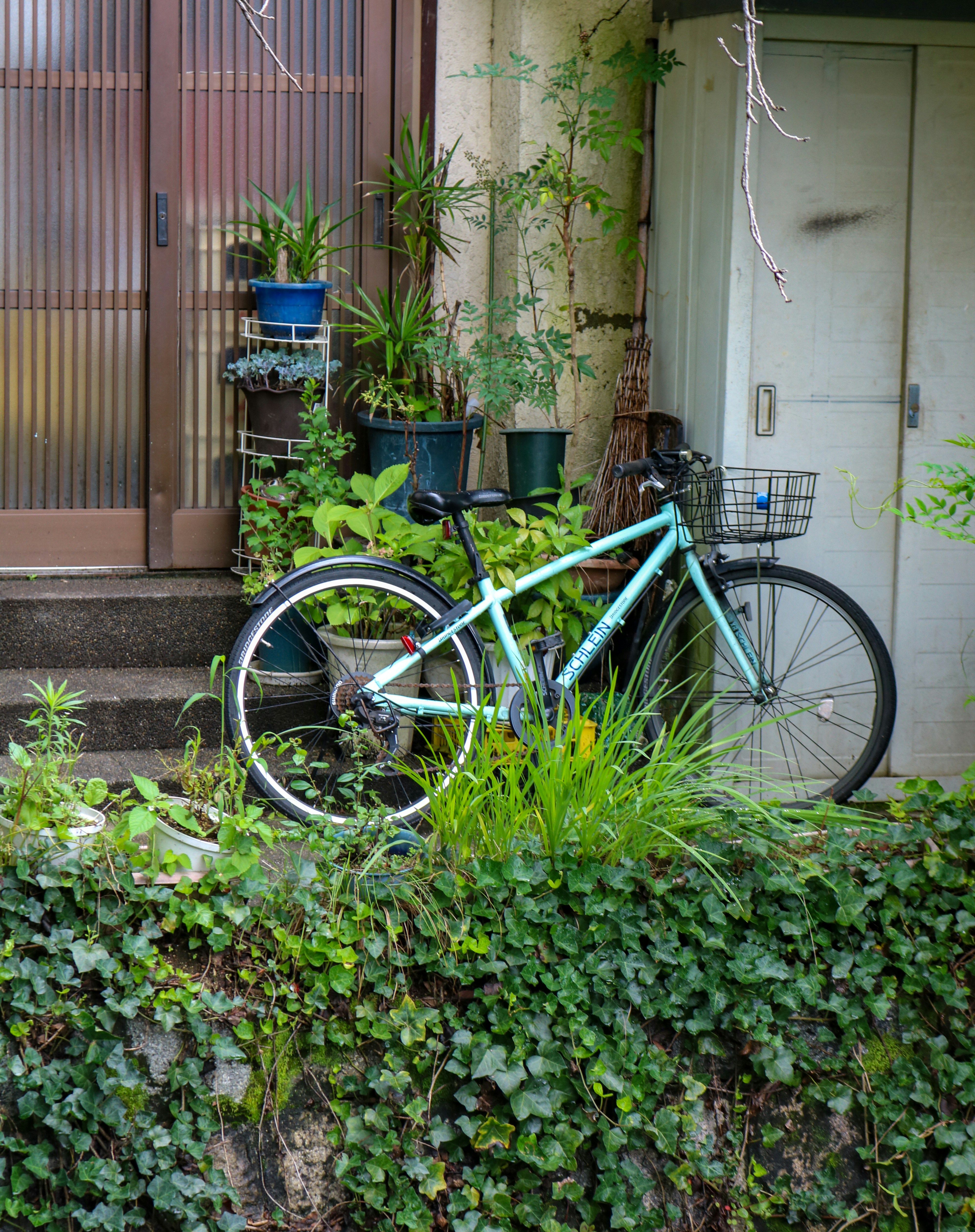 A bicycle rests near a door surrounded by plants.