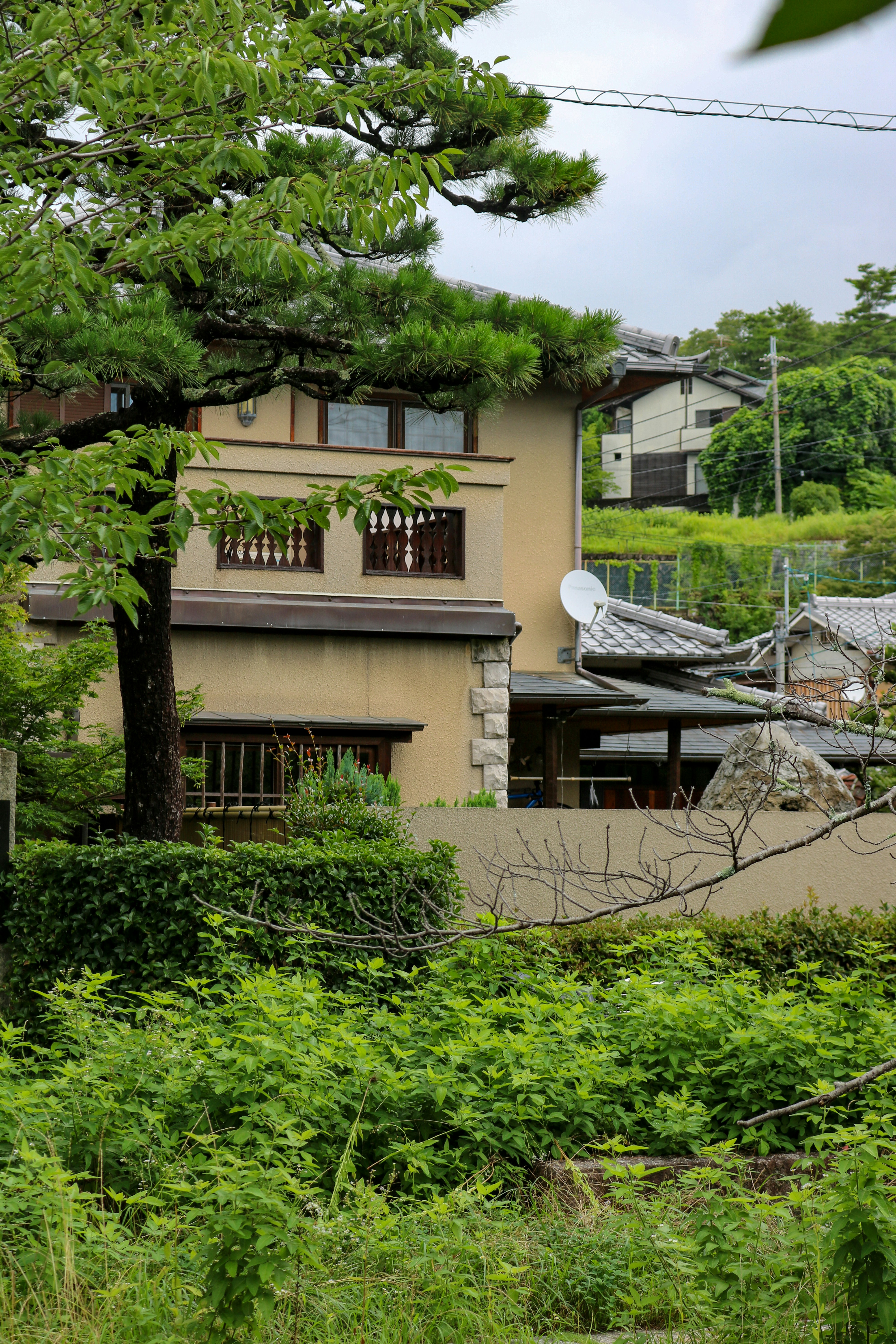 A japanese house stands amidst lush greenery.
