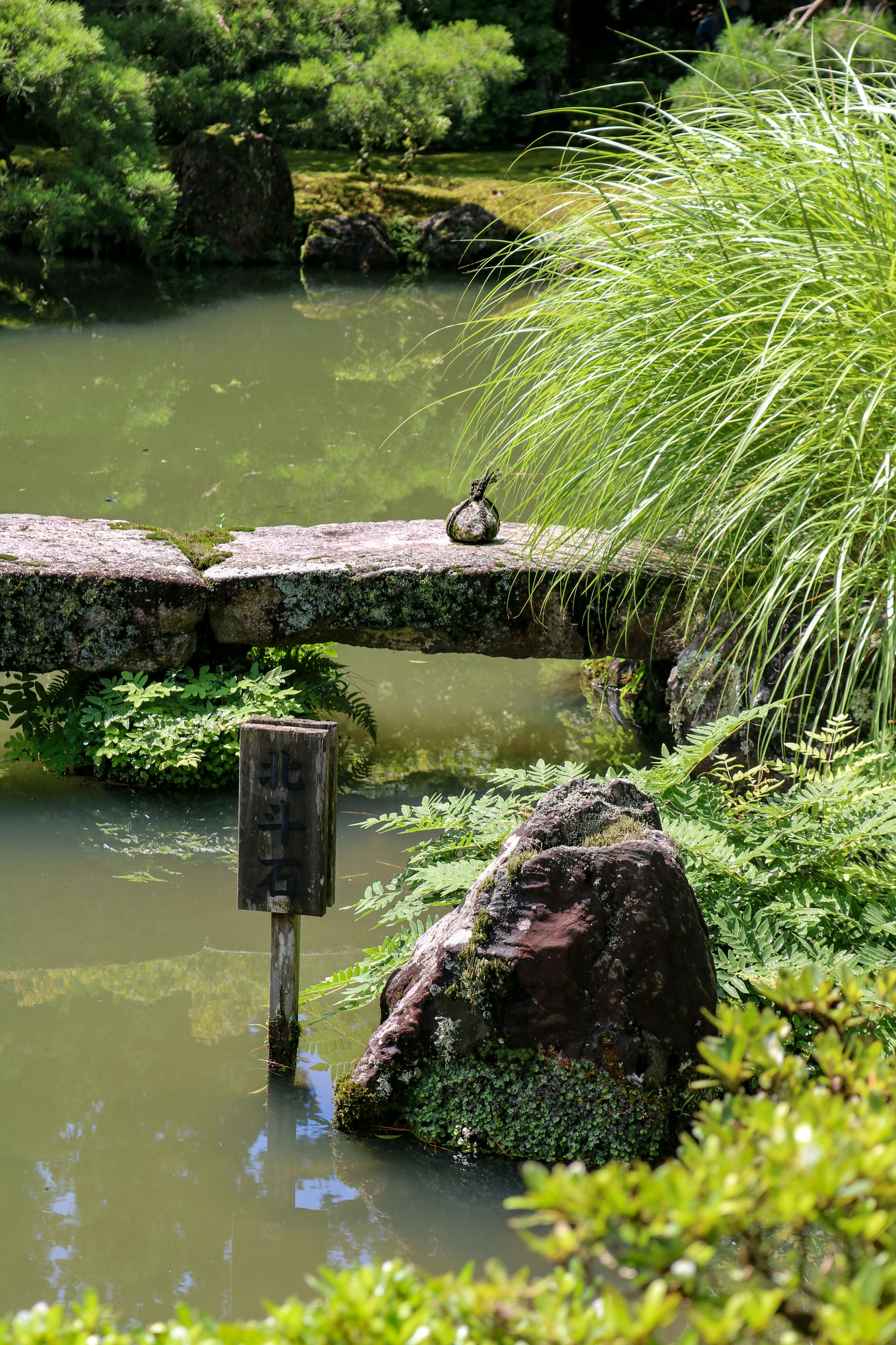 A duck rests on a stone bridge over the water.