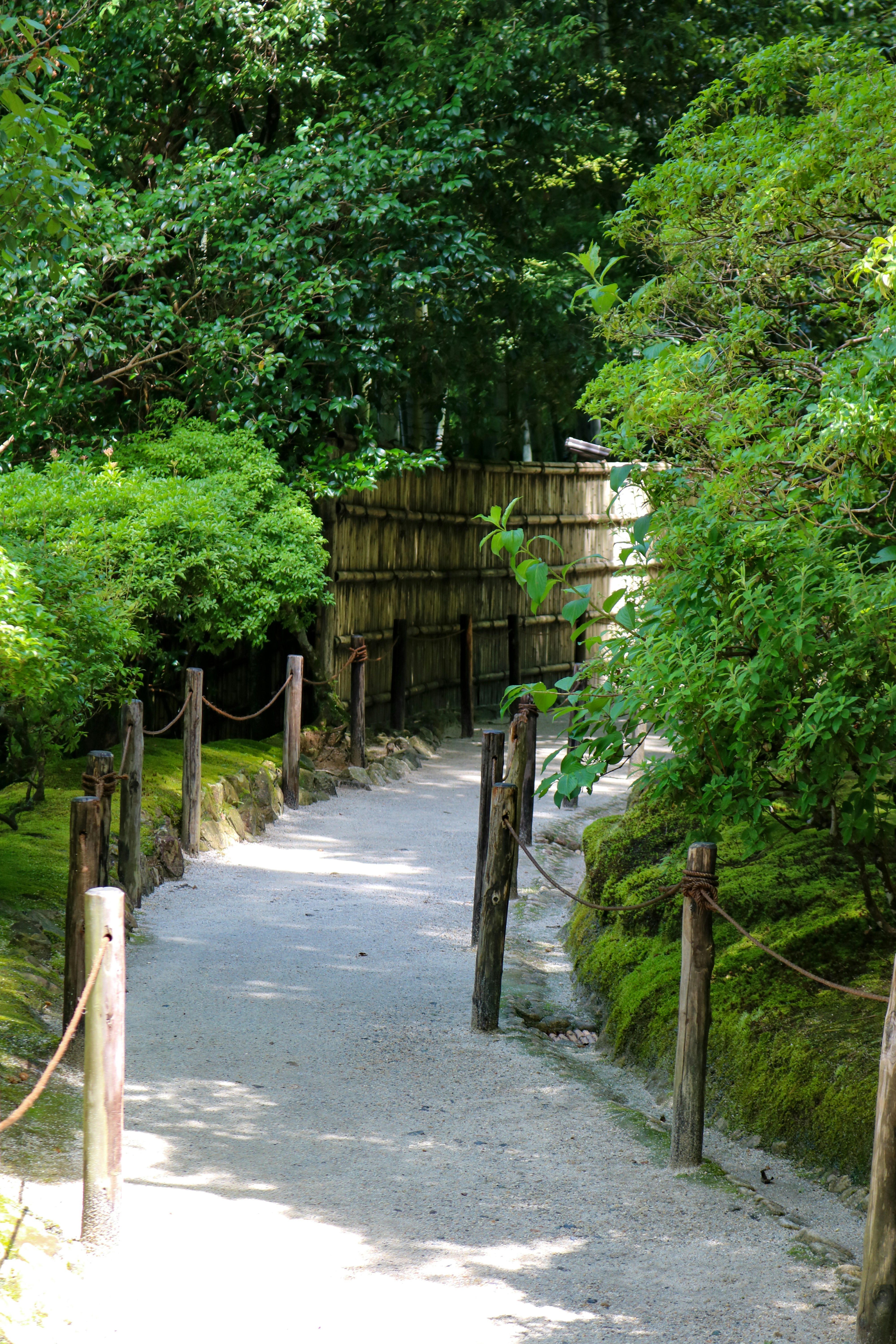 Photo by jonathanphelps