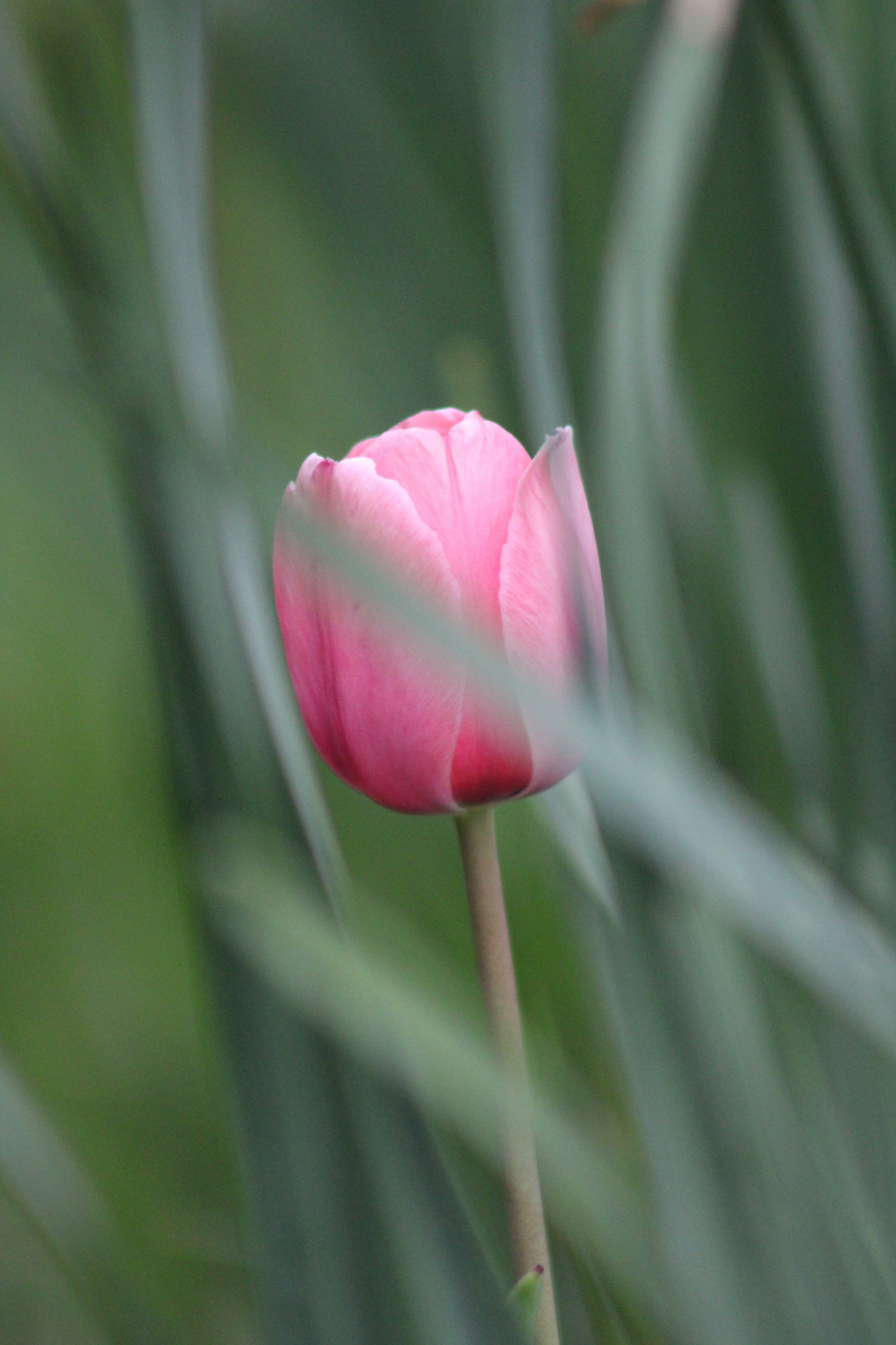 Photo by micaiahlane