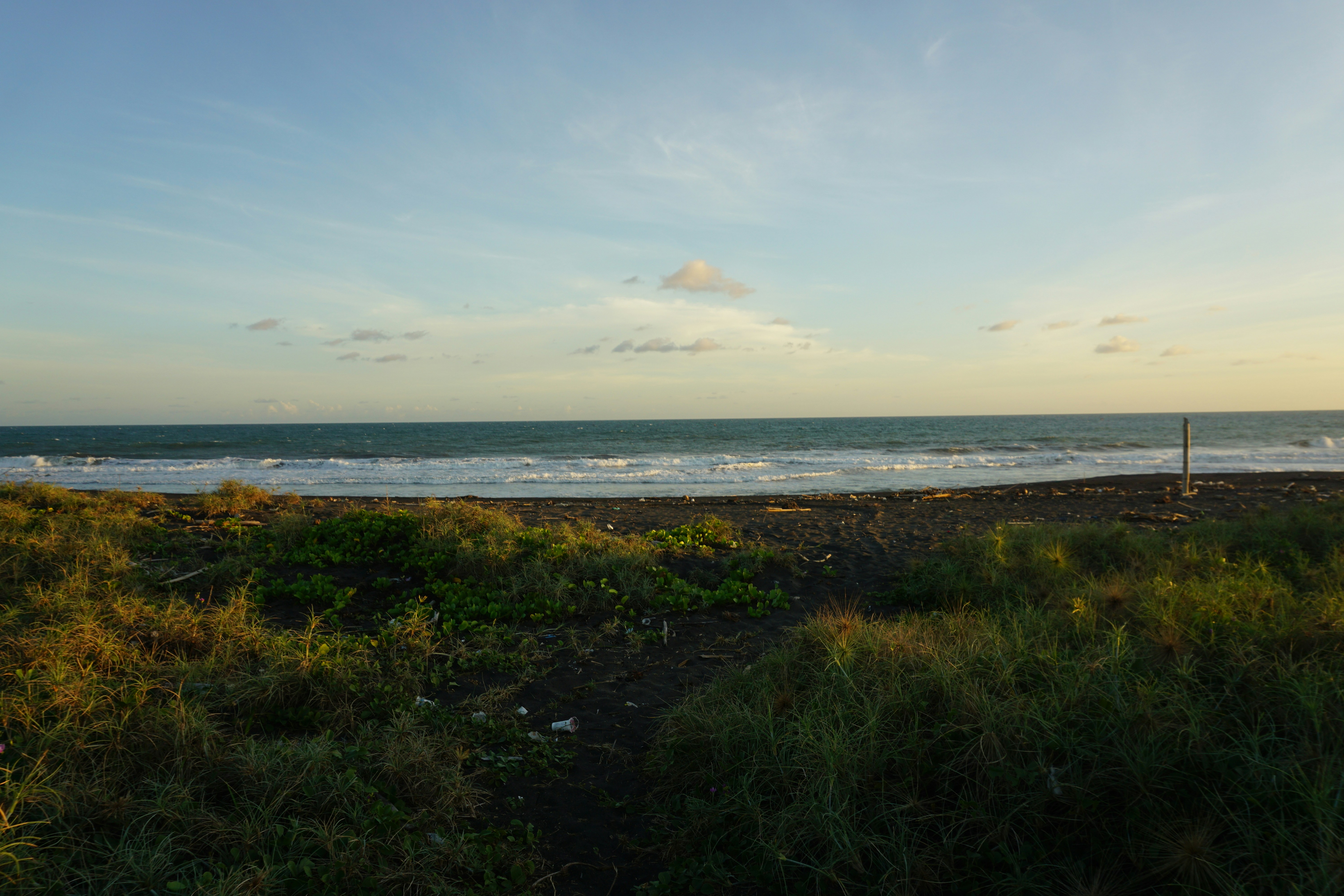 Photo by crrysraw