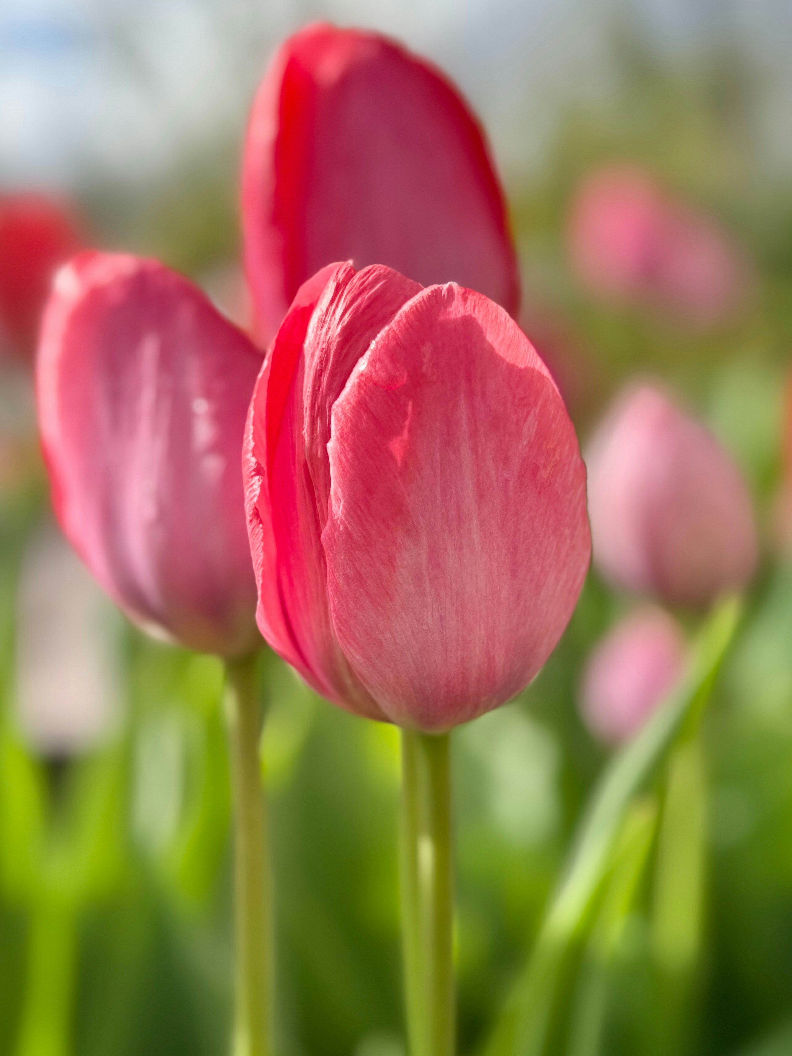 Photo by abby_moulton