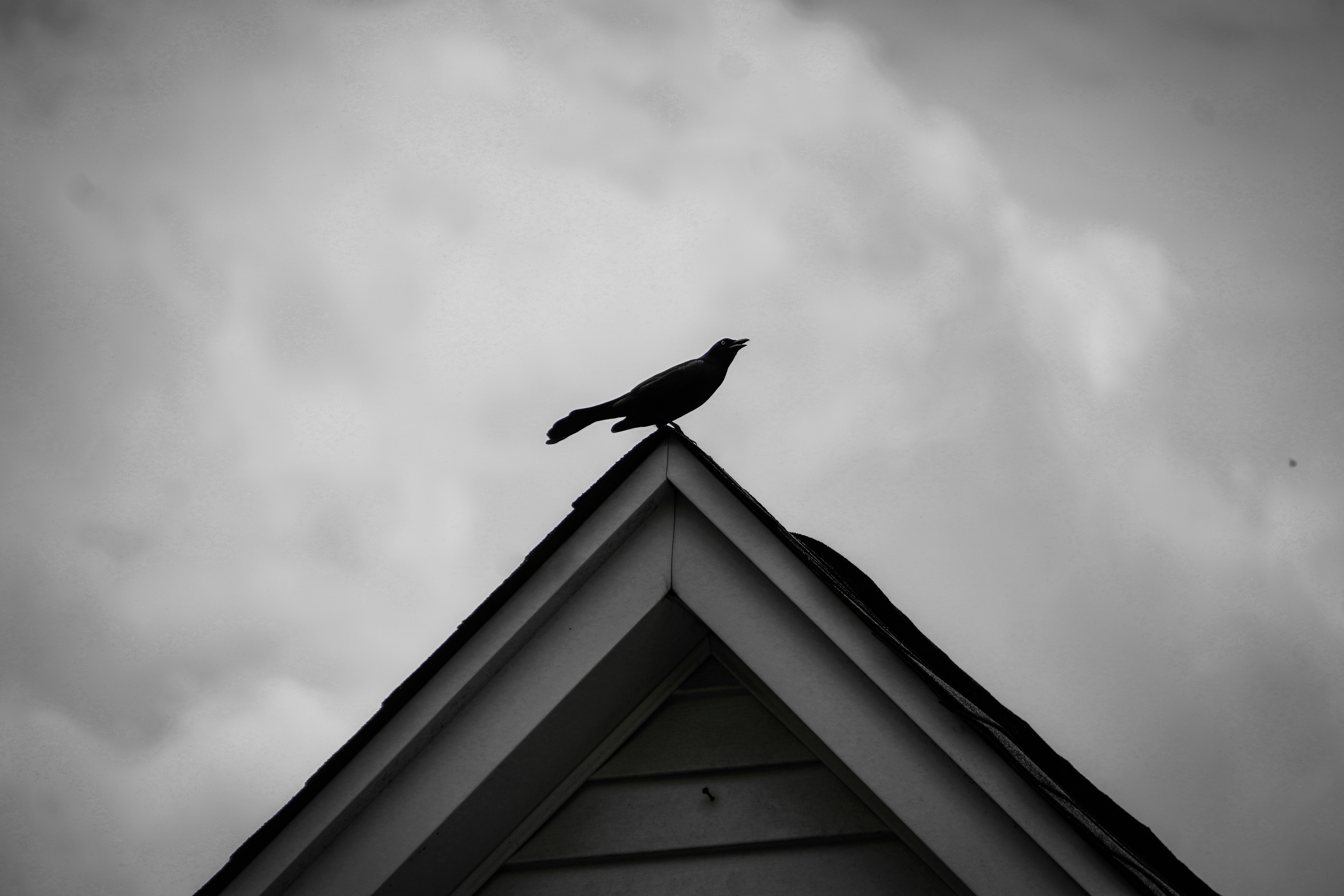 Photo by tellophotography