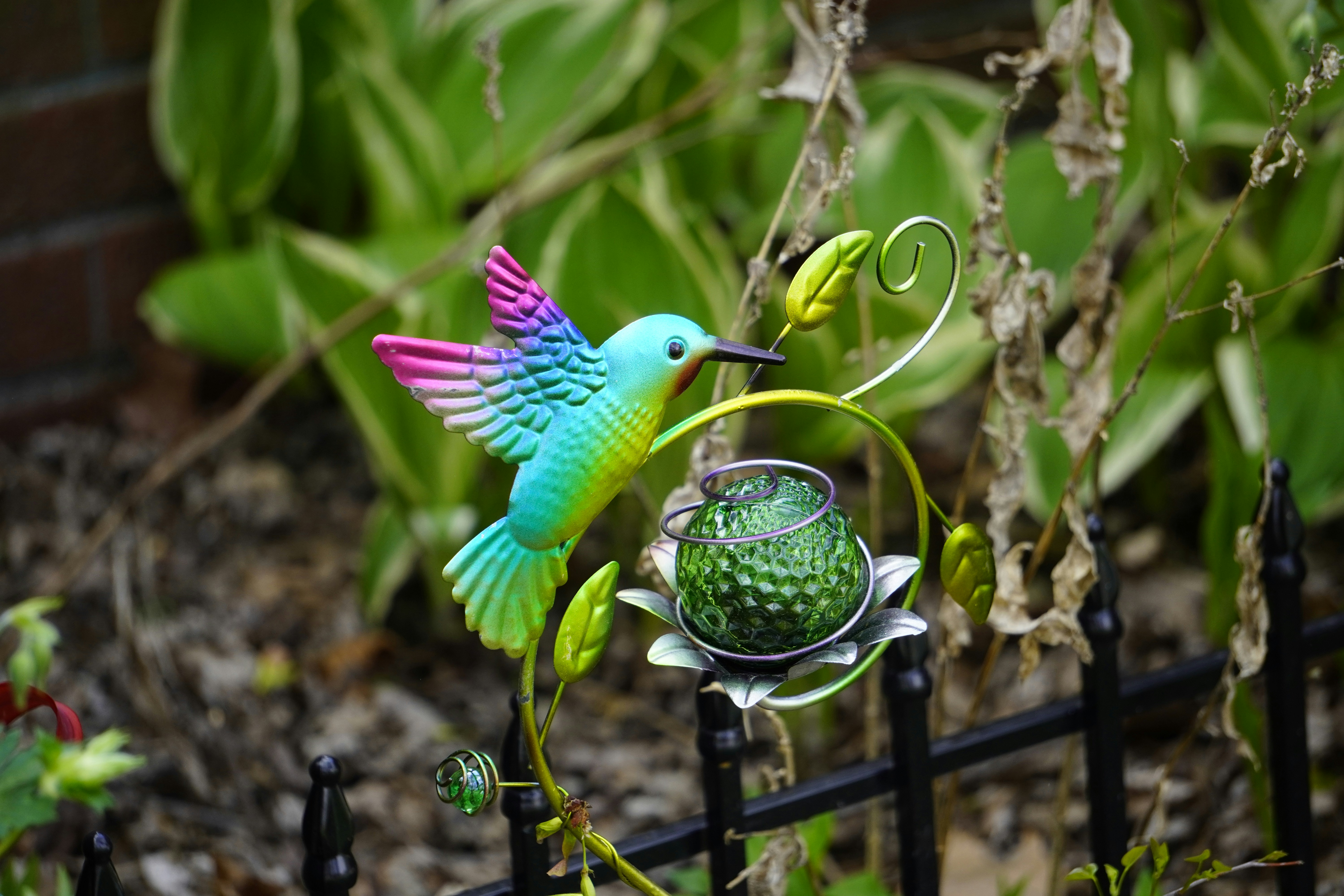 Space Plants Strategically for Territorial Birds (image credits: unsplash)