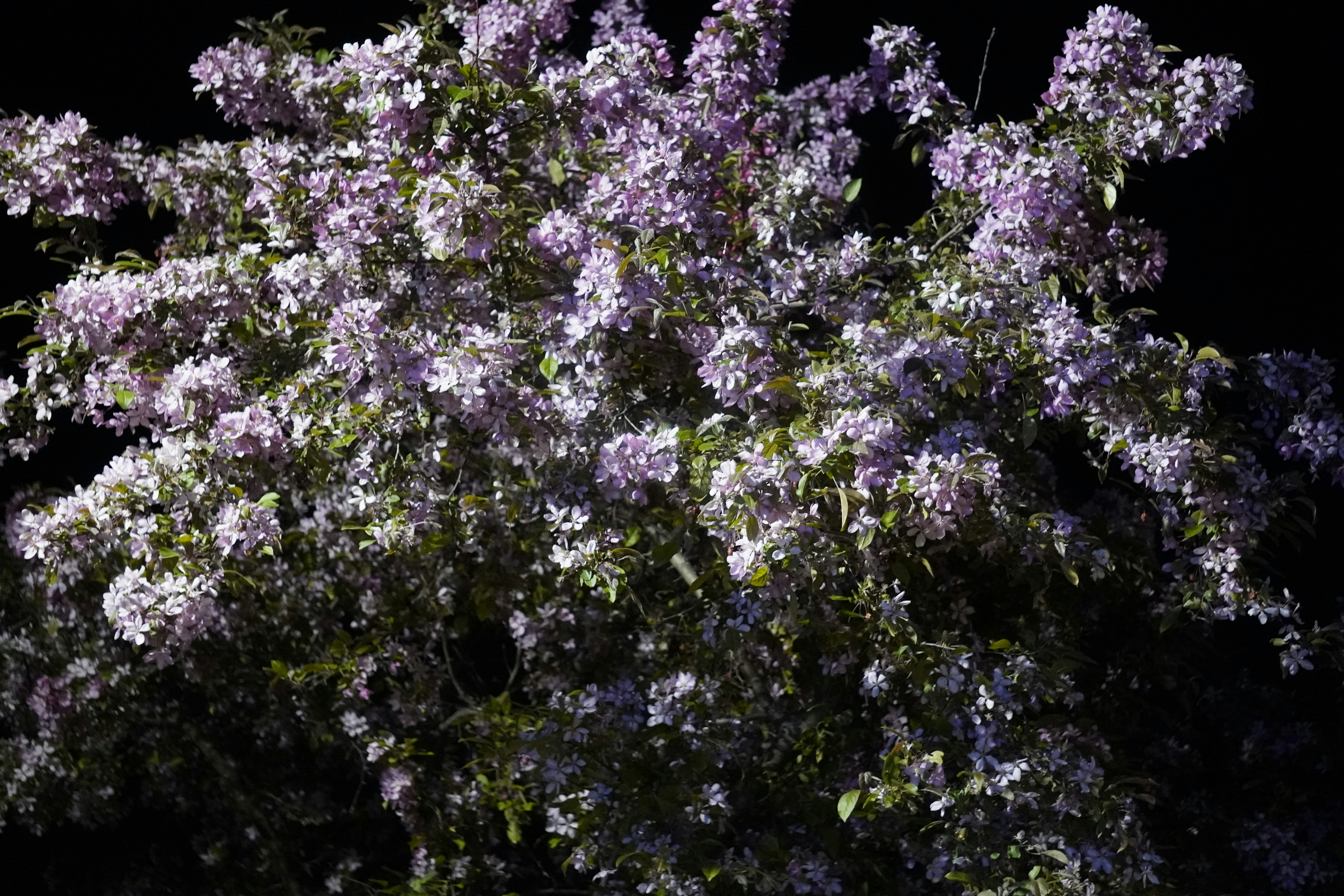 Photo by tellophotography