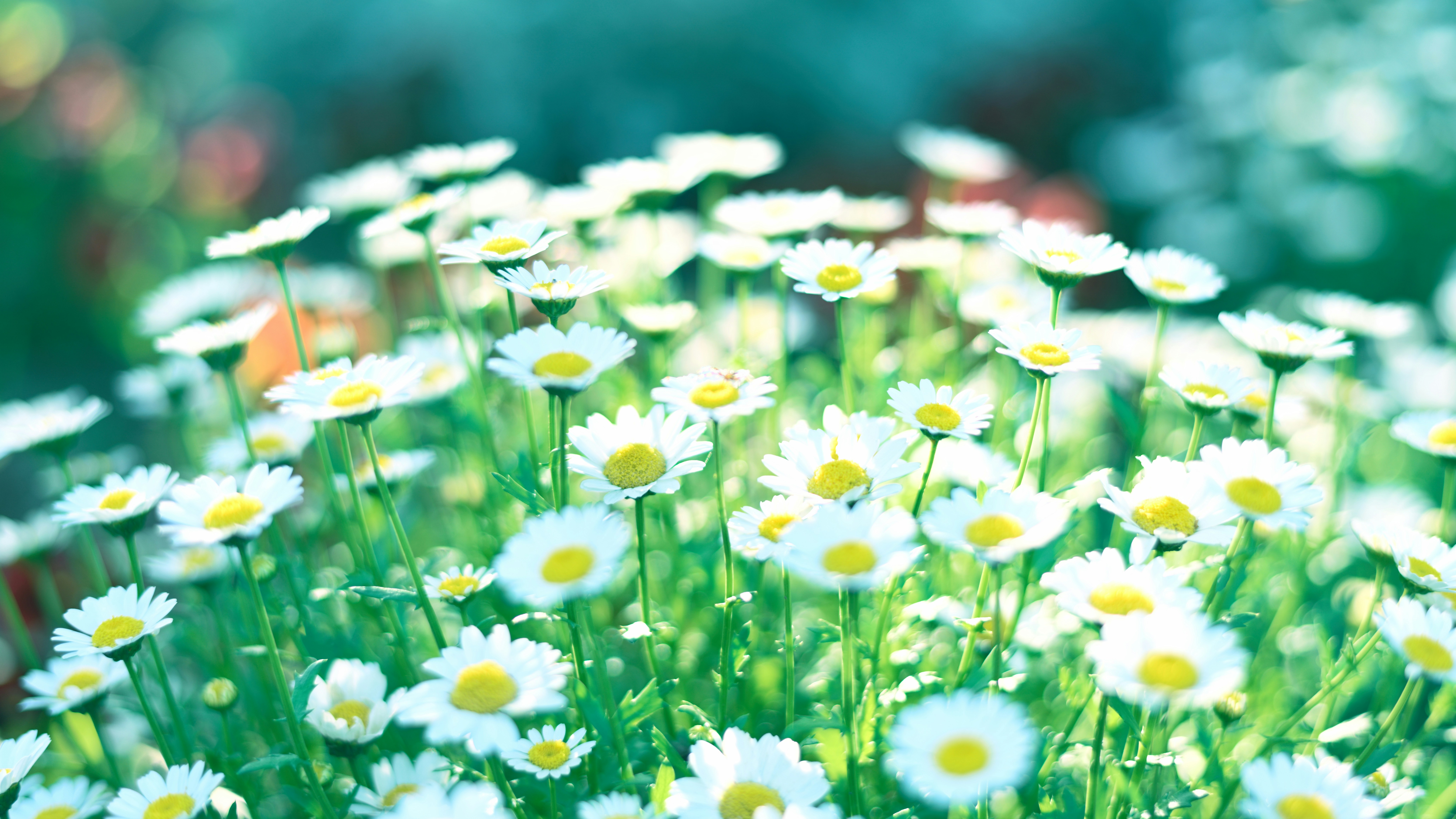 Photo by tomokiozawa