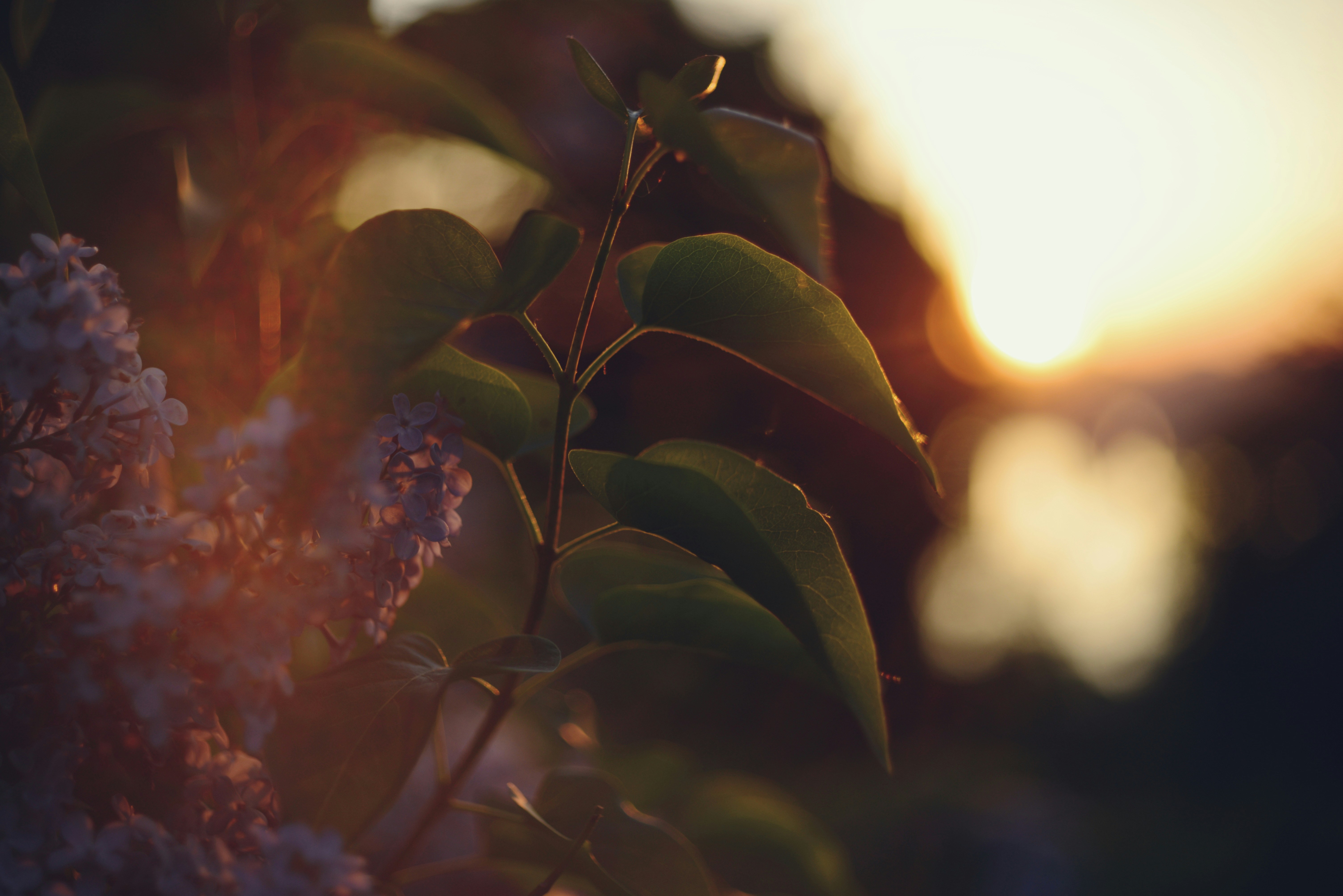 Photo by cherstve_pechivo