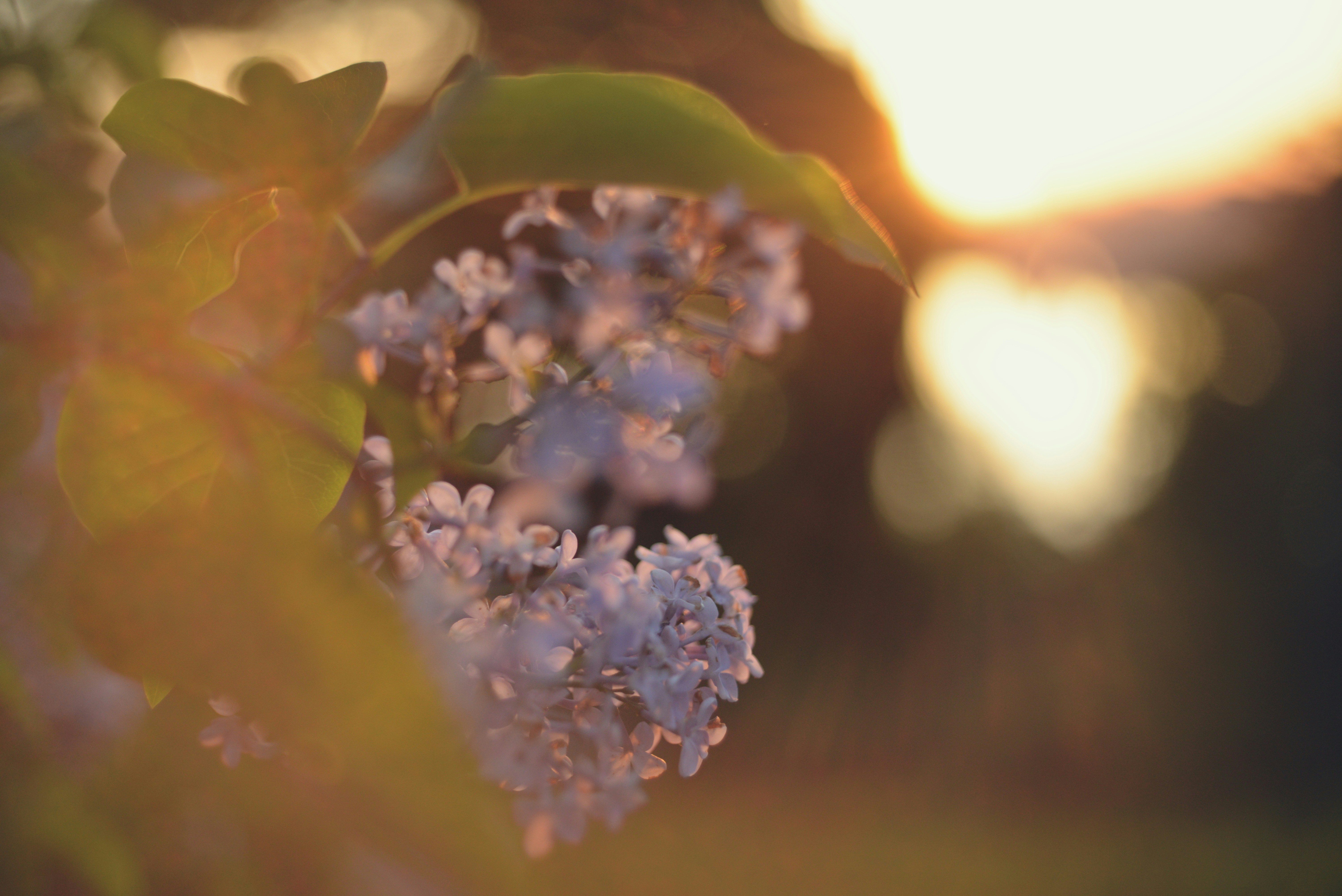 Photo by cherstve_pechivo