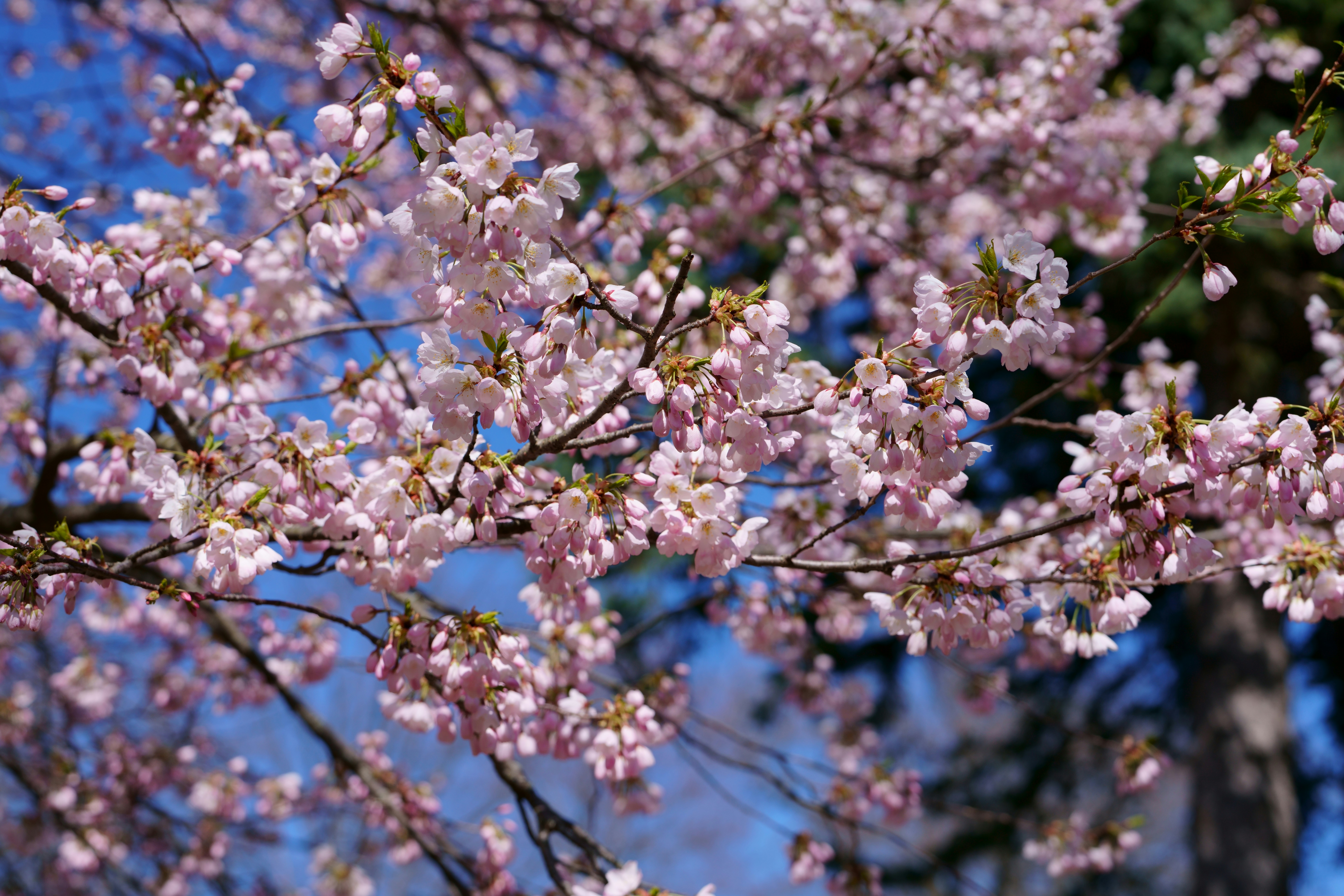 Photo by terrladennis