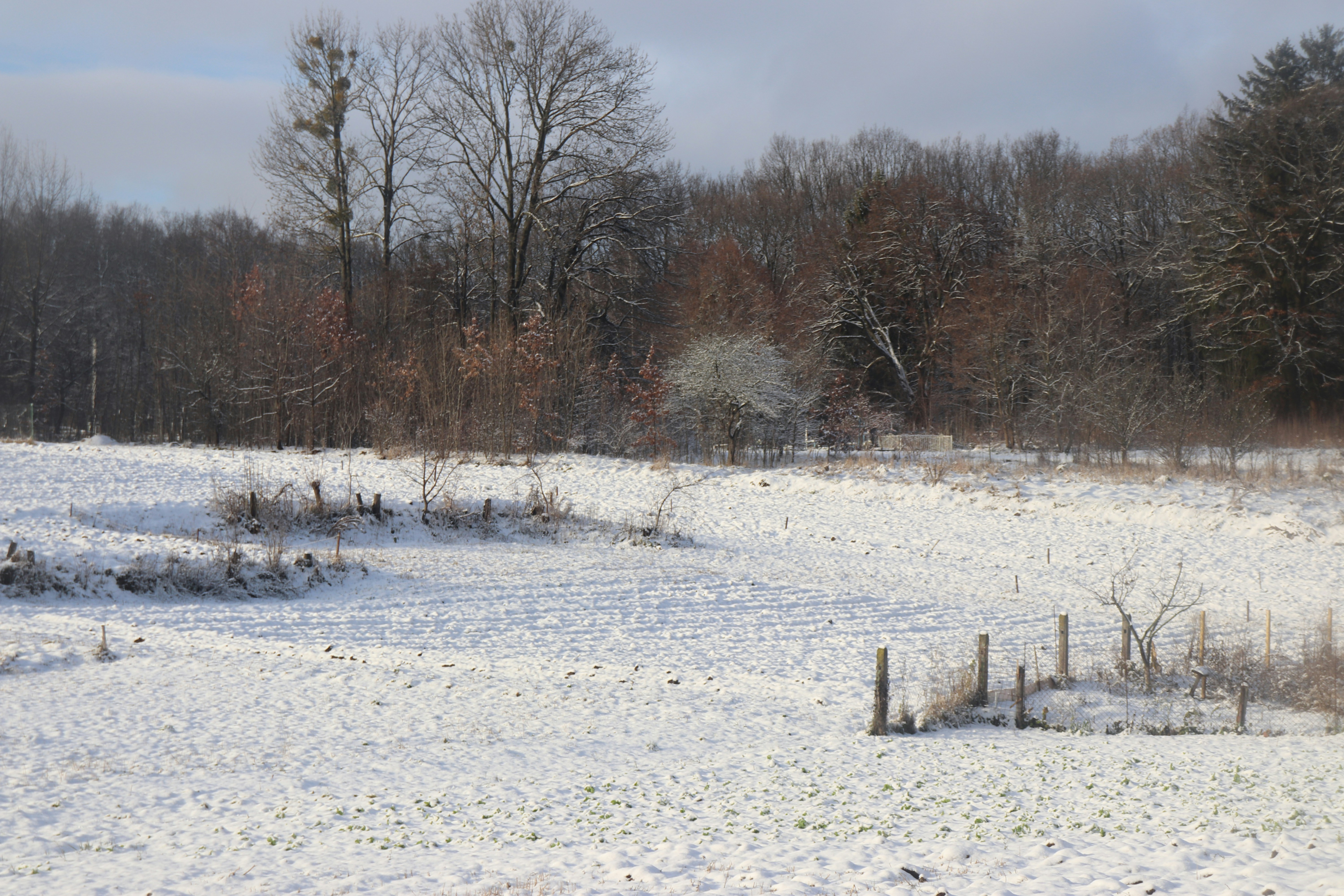 Photo by stasiaspark