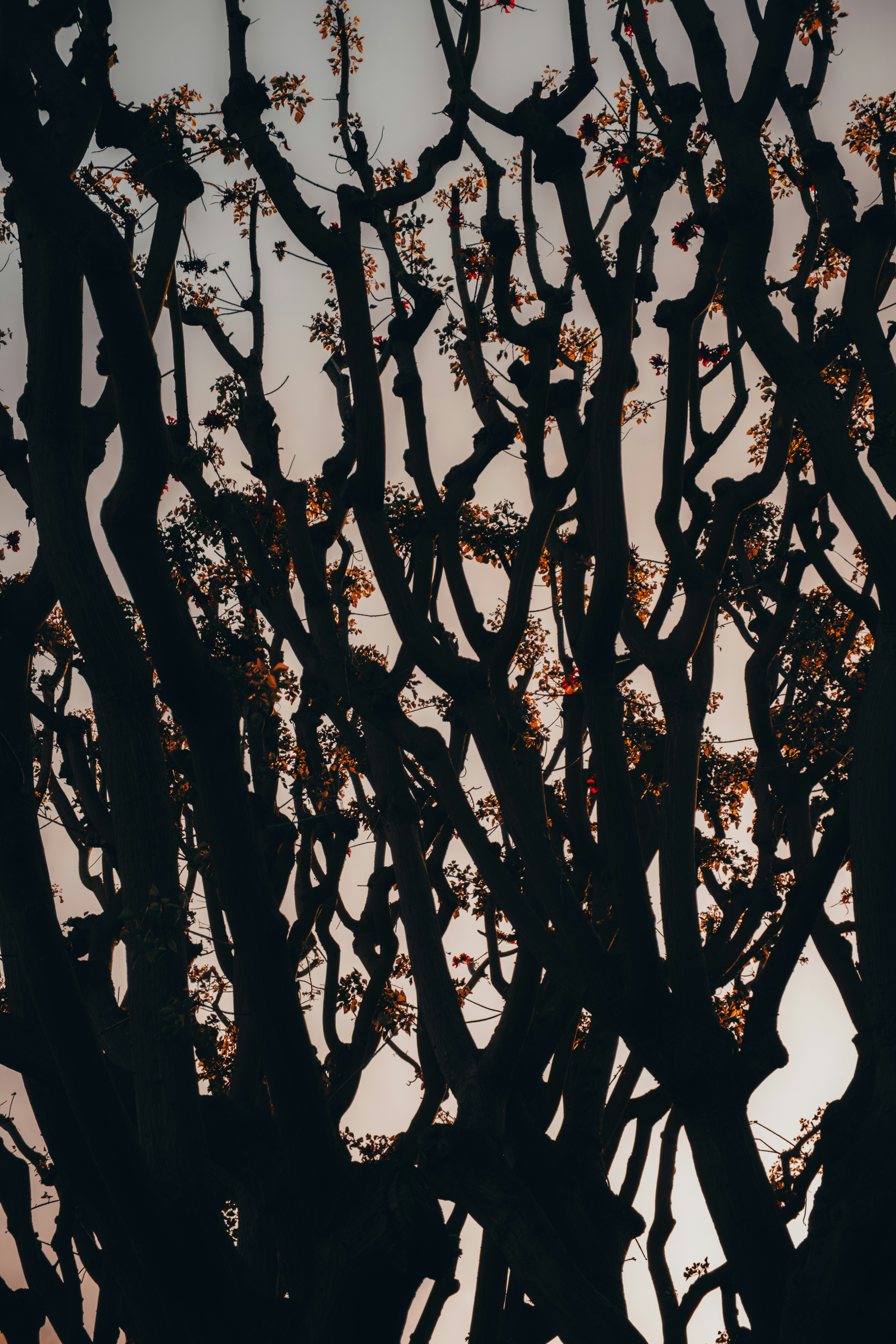 Photo by artmatters