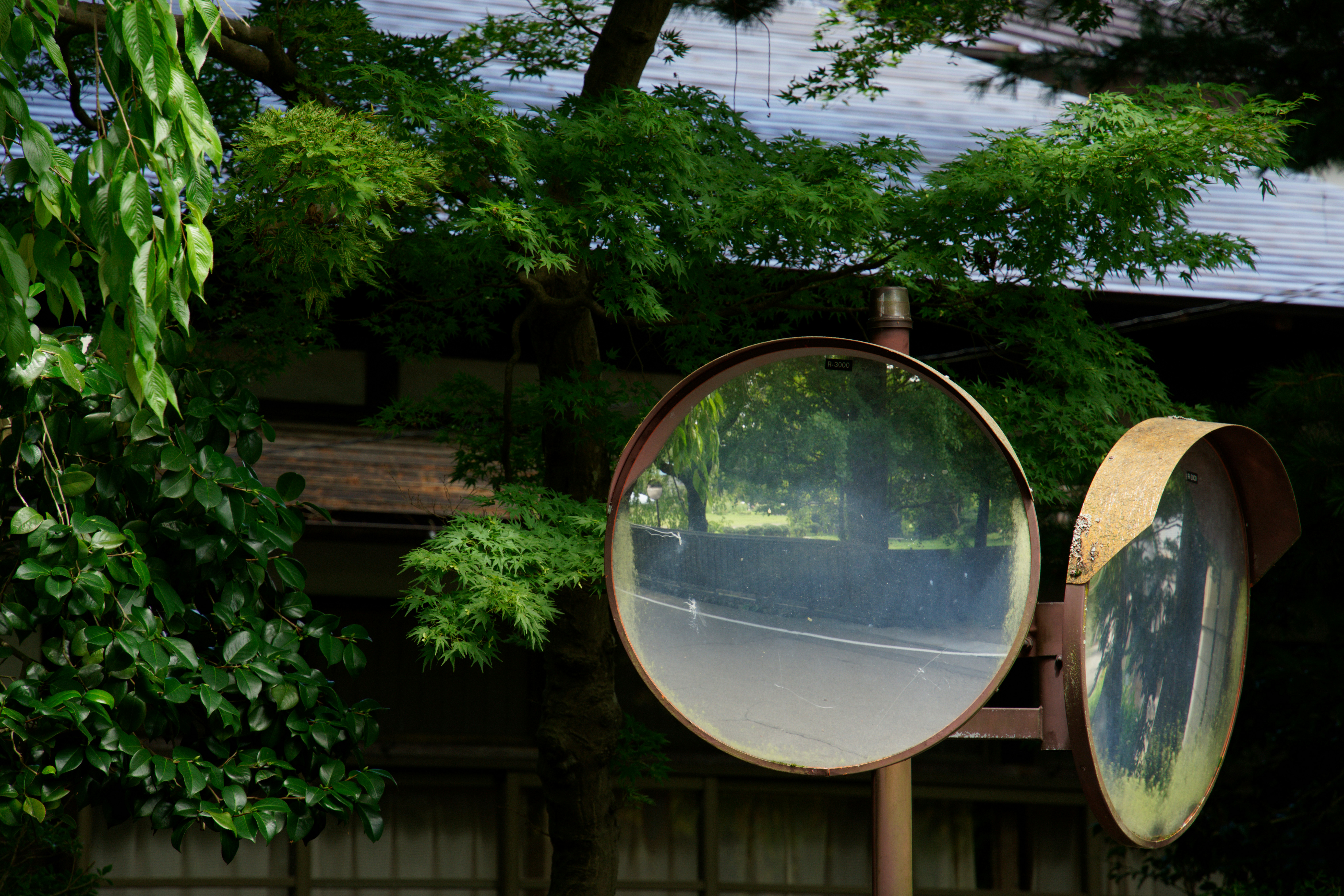 Photo by da_shika_photo